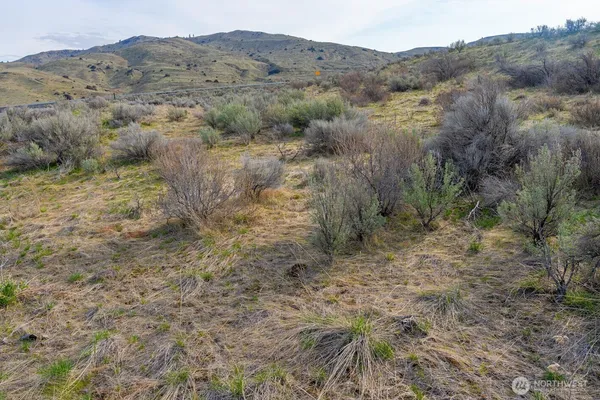 a view of a dry field with trees in the background