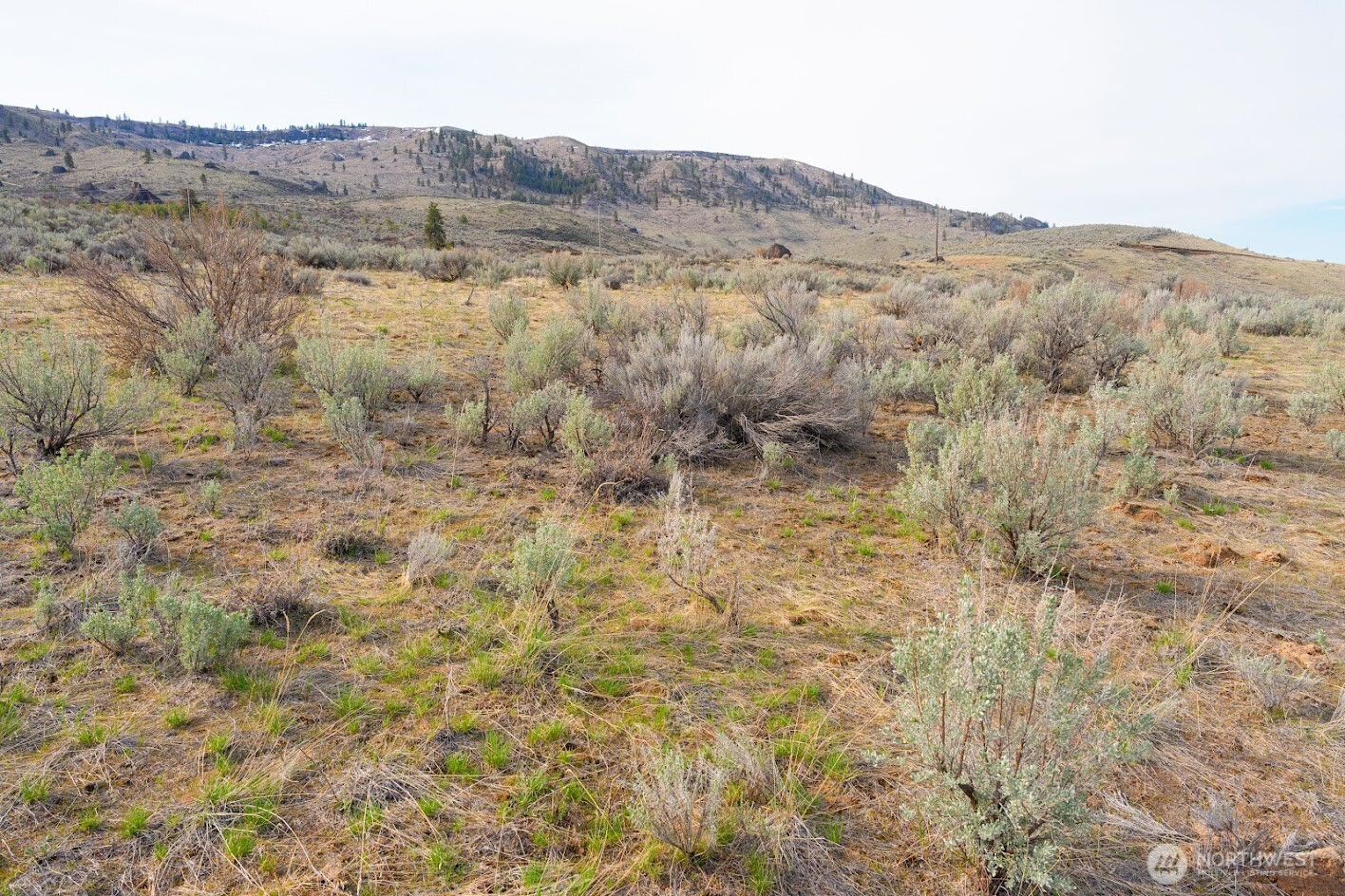 0 Parcel B Mcneil Canyon Road Orondo, WA 98843 - Photo 10 of 17 a view of a dry field