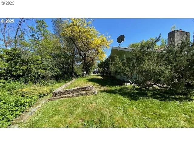 a open area with trees in the background