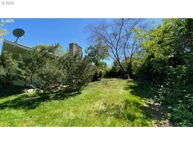 a open area with trees in the background