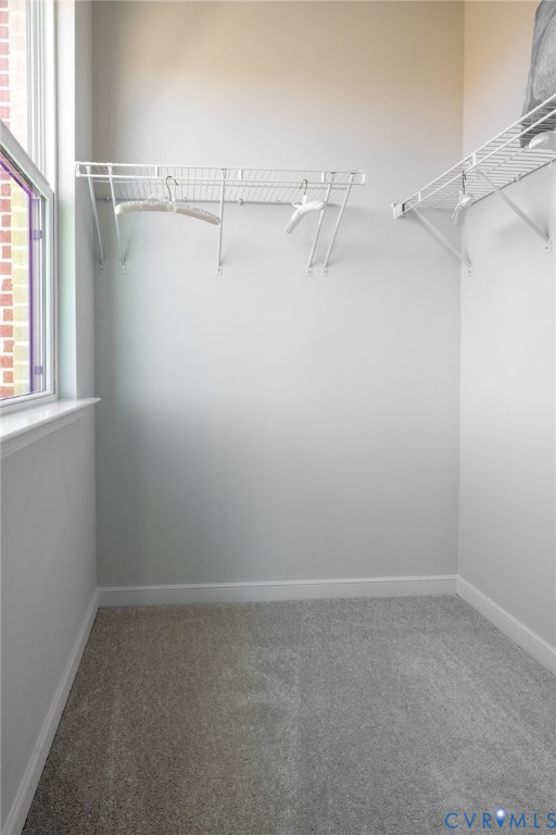 231 Golden Haze Alley, Unit 61 Midlothian, VA 23113 - Photo 29 of 31 a view of an empty walk in closet
