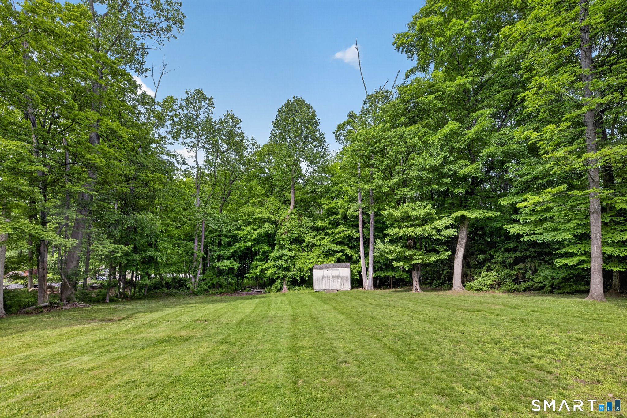 70 Barrack Hill Road Ridgefield, CT 06877 - Photo 22 of 32 a view of a trees with a big yard