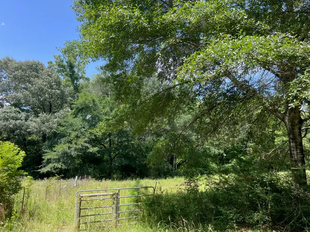 a view of yard with green space