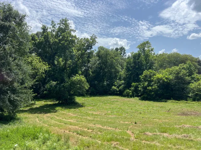 a view of an outdoor space and a yard