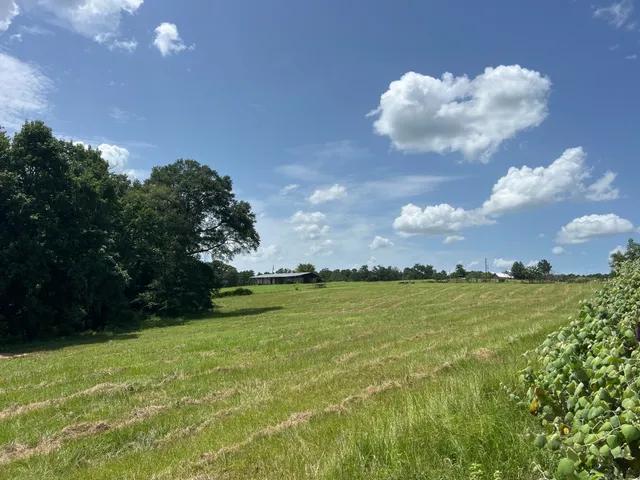 a view of a golf course with a lake