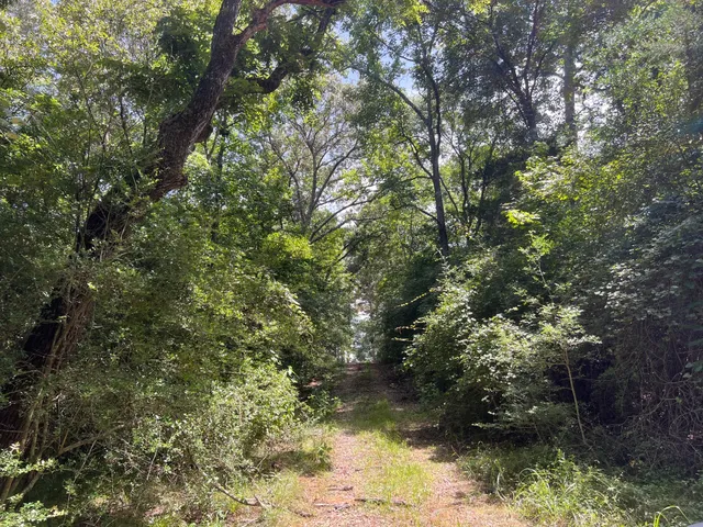 a view of outdoor space