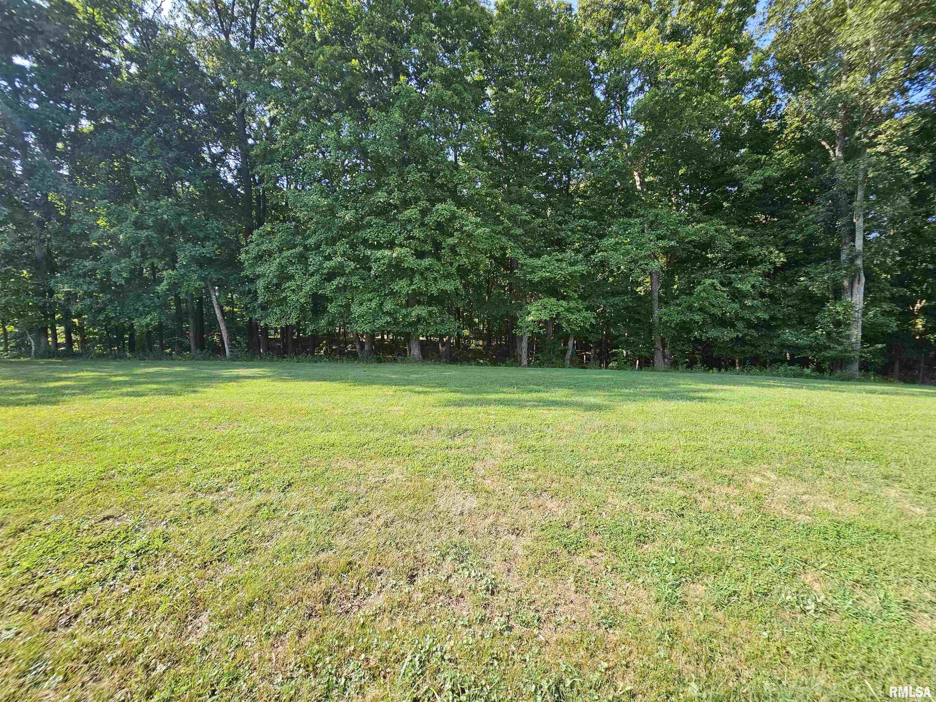 Lot 2 East Whippoorwill Road Mount Vernon, IL 62864 - Photo 3 of 11