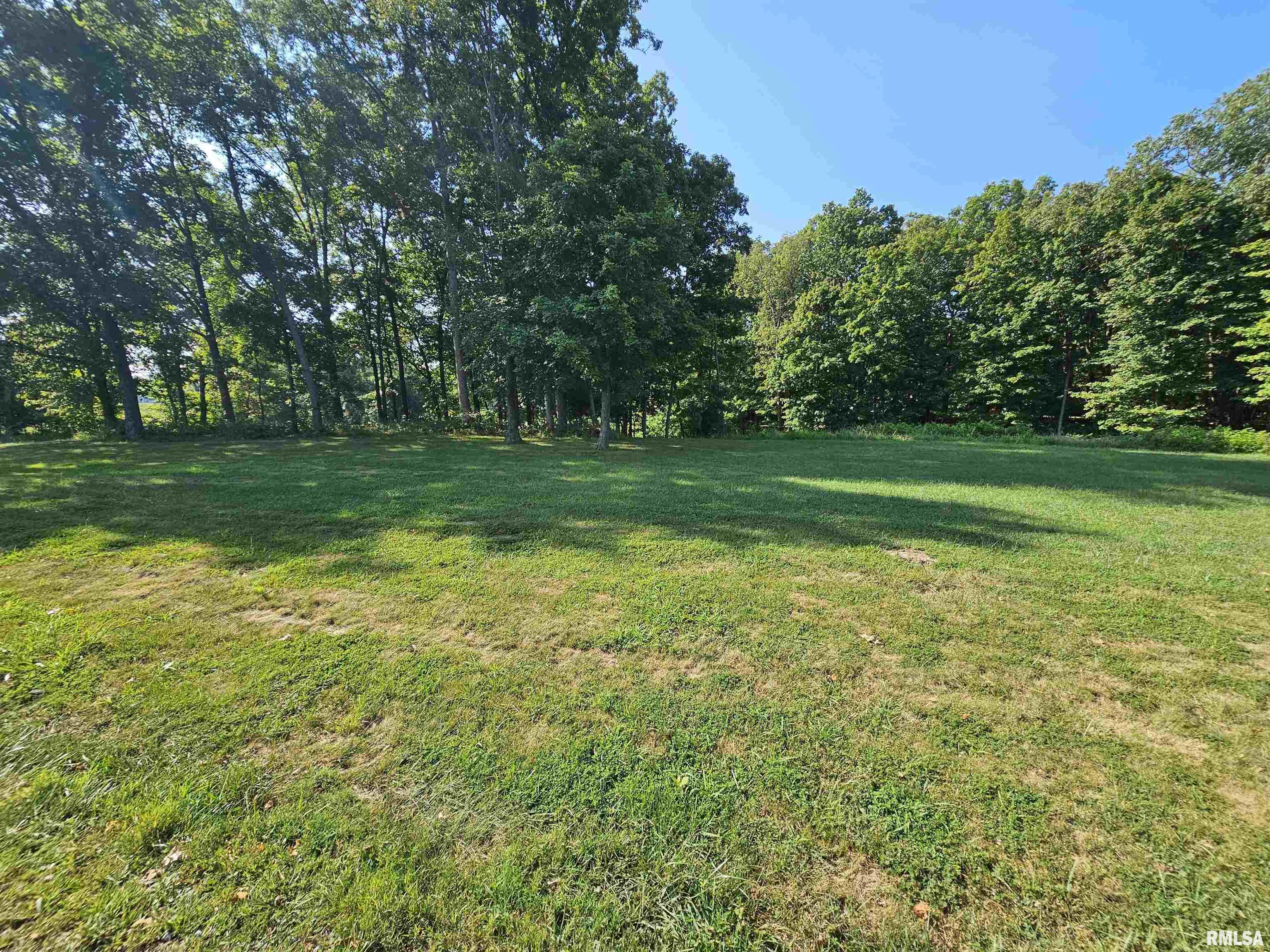 Lot 2 East Whippoorwill Road Mount Vernon, IL 62864 - Photo 4 of 11