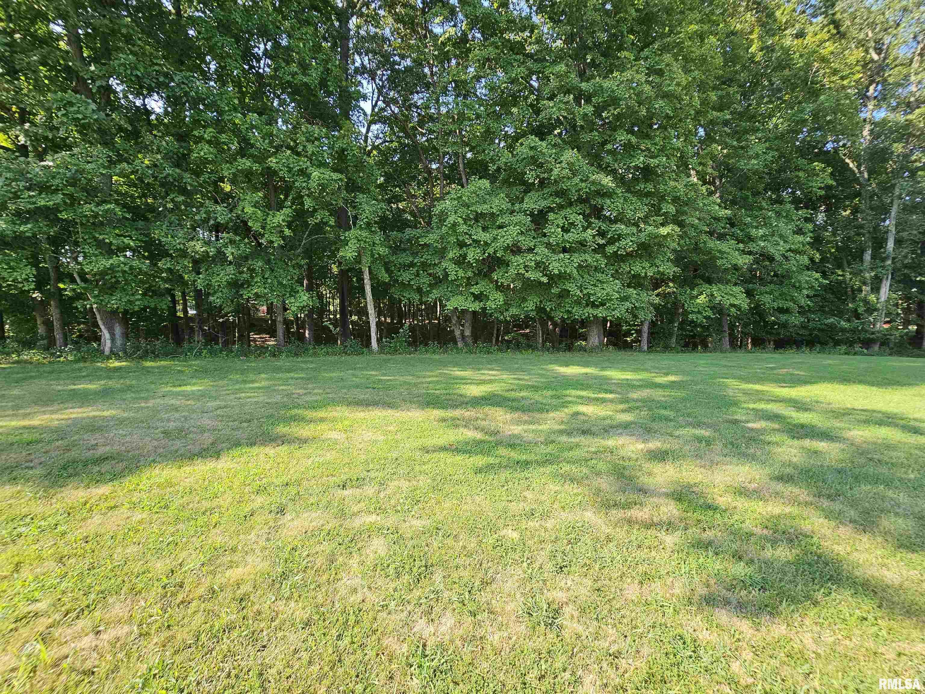 Lot 2 East Whippoorwill Road Mount Vernon, IL 62864 - Photo 7 of 11