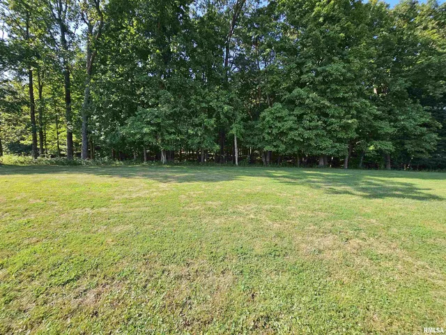 $20,000 | Lot 2 East Whippoorwill Road, Mount Vernon, IL 62864