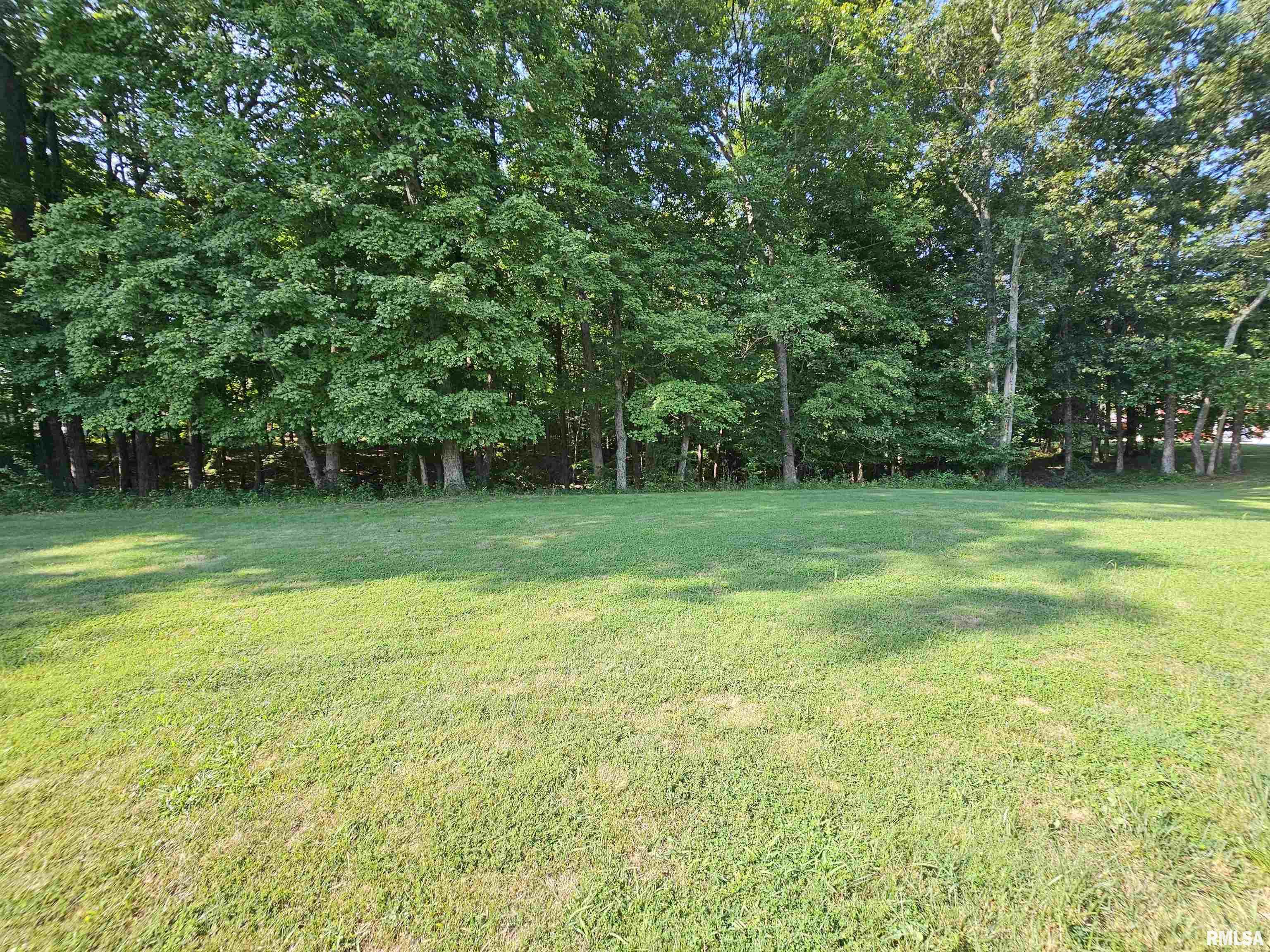 Lot 2 East Whippoorwill Road Mount Vernon, IL 62864 - Photo 10 of 11
