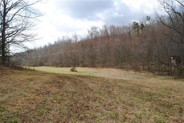 110 Kelly Branch Road London, KY 40741 - Photo 5 of 39 Photo 5