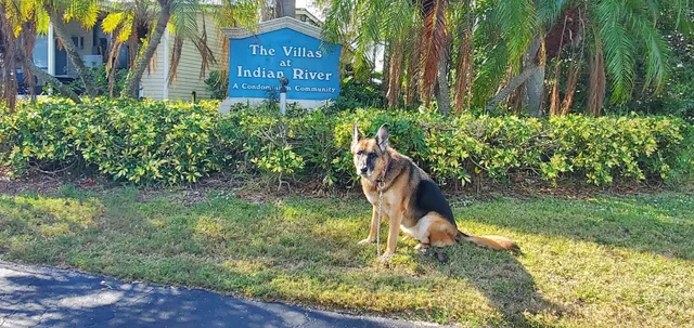 a view of a balcony with wooden floor