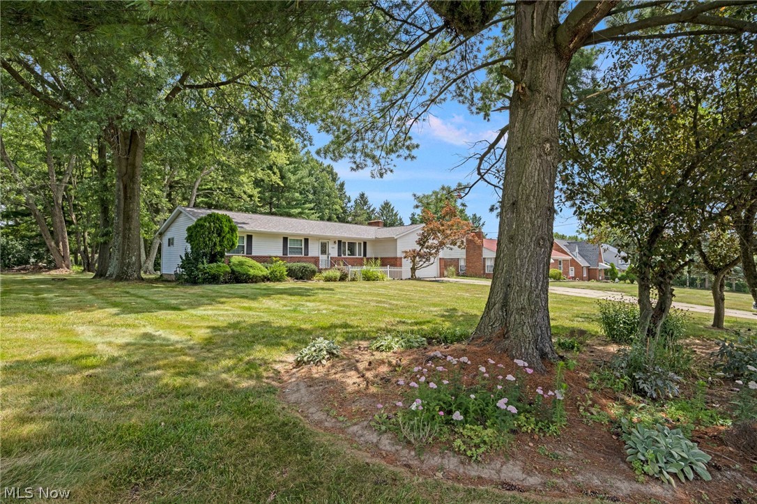 439 South Miller Road Akron, OH 44313 - Photo 29 of 31 View of yard