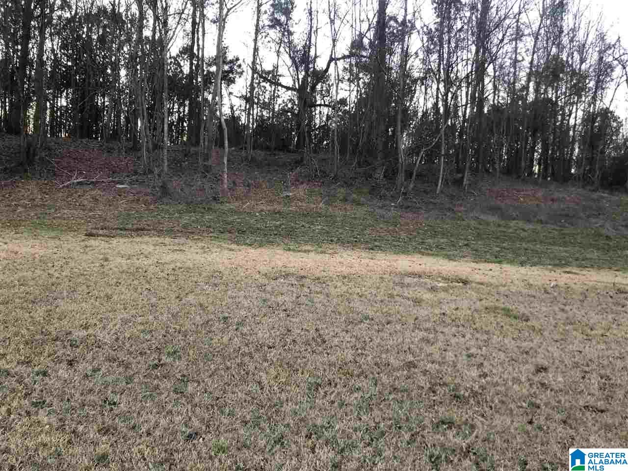 0 Hargrove Road East, Unit 2 Tuscaloosa, AL 35401 - Photo 1 of 2