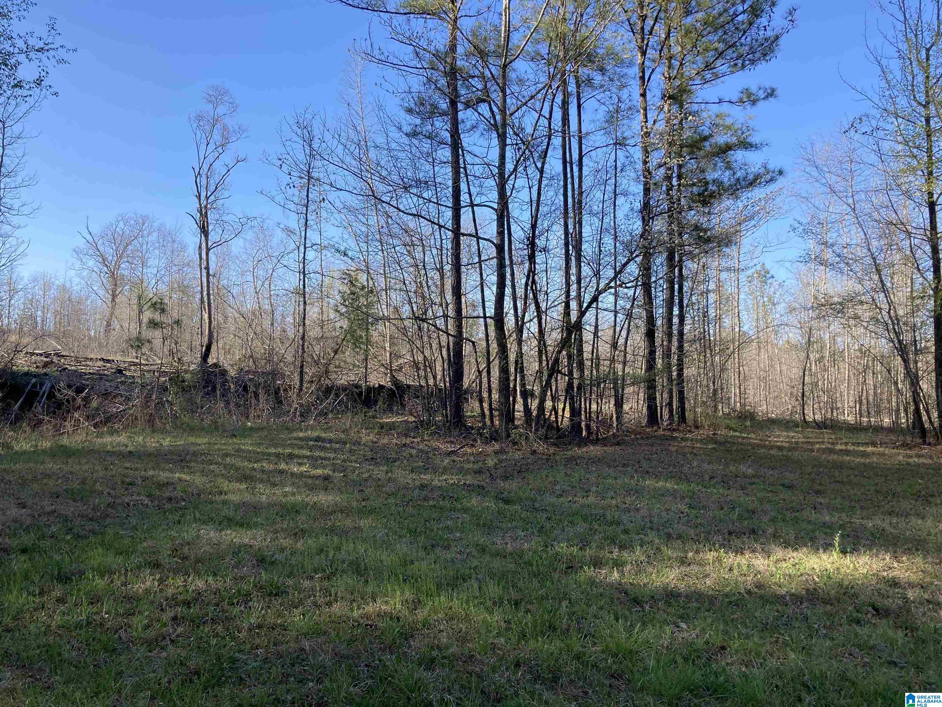 0 Jackson Trace Road, Unit 4 1 Talladega, AL 35160 - Photo 1 of 27