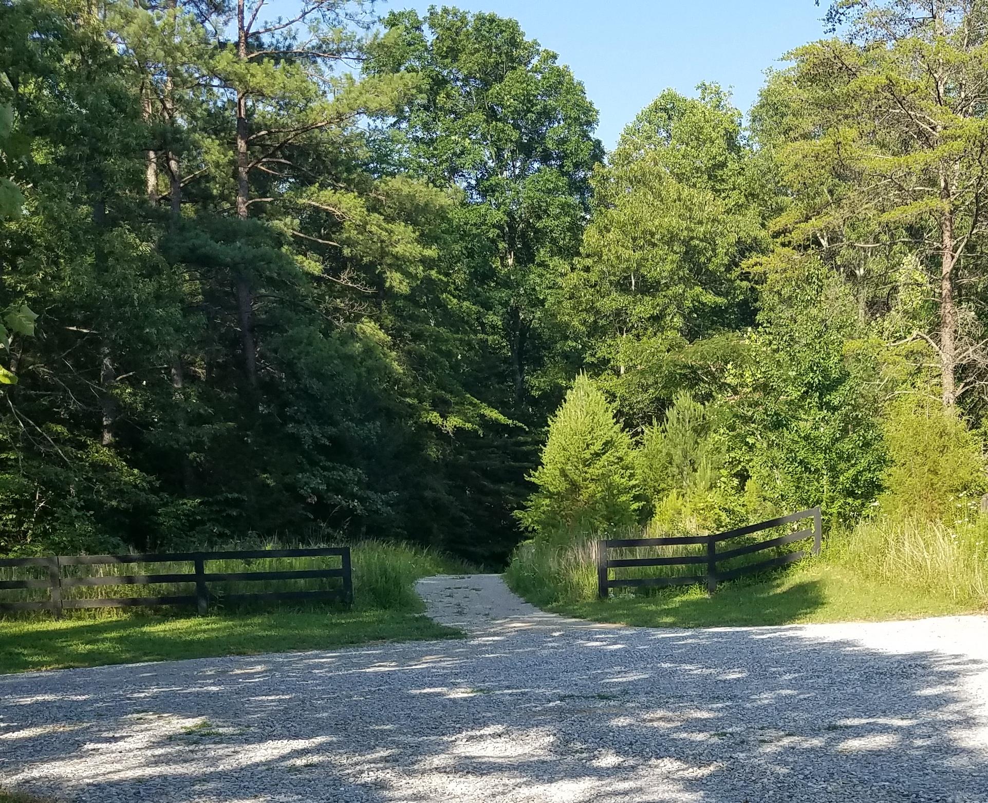 0 Black Pine Road Fairview, TN 37062 - Photo 1 of 12 a view of a park