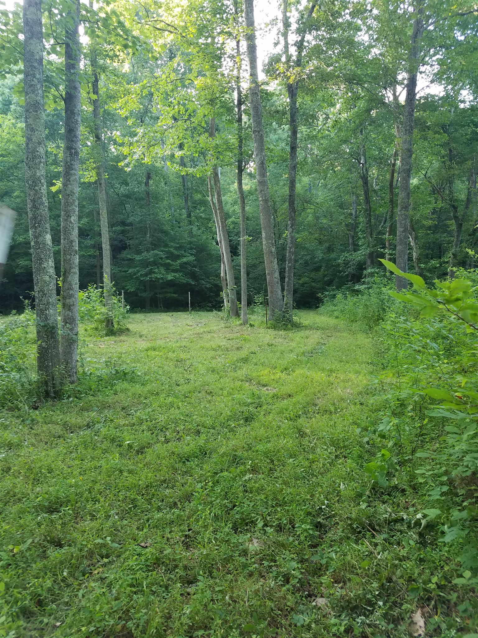0 Black Pine Road Fairview, TN 37062 - Photo 11 of 12 a view of outdoor space with green field and trees