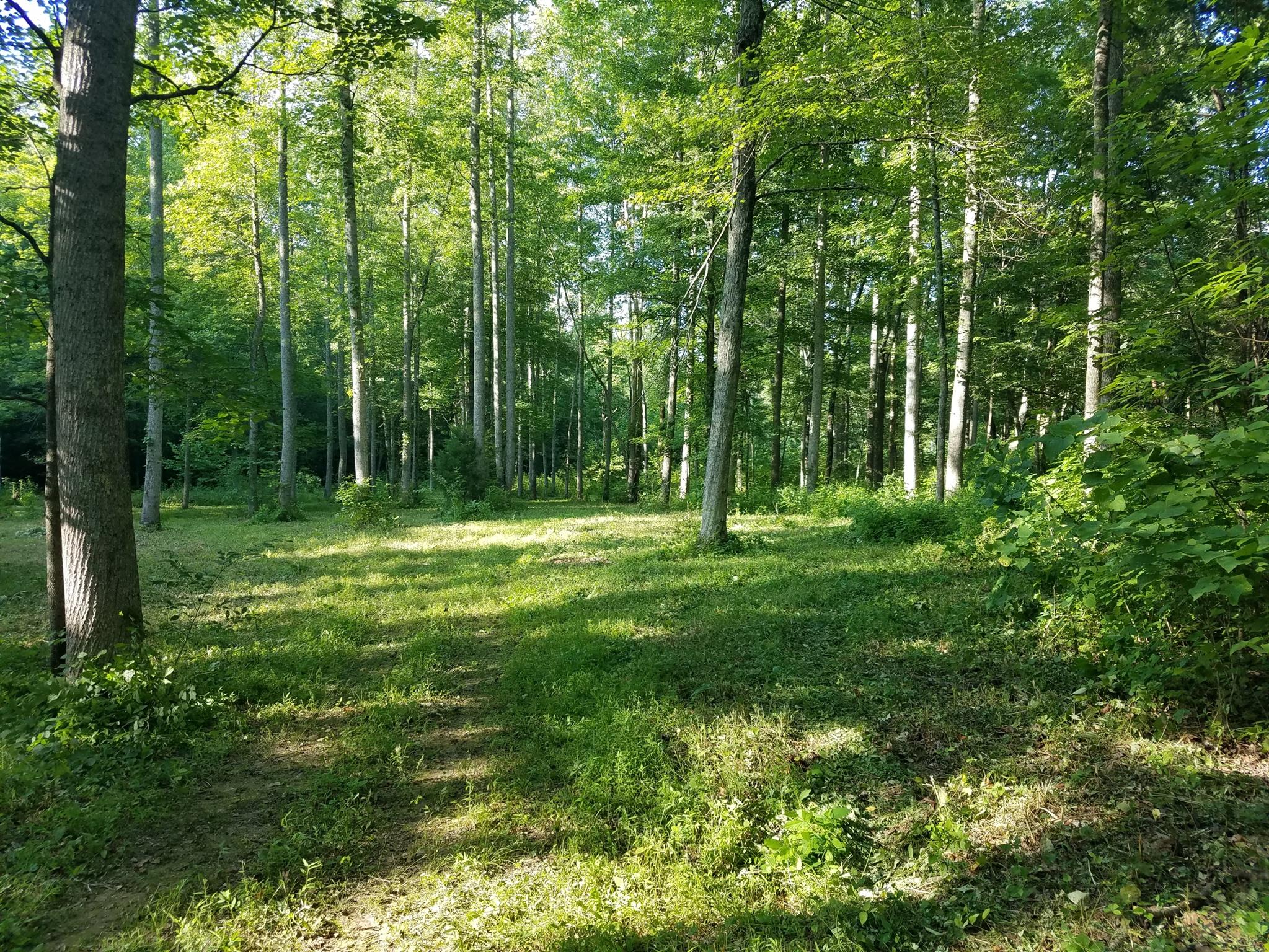 0 Black Pine Road Fairview, TN 37062 - Photo 2 of 12 a view of outdoor space with green field and trees