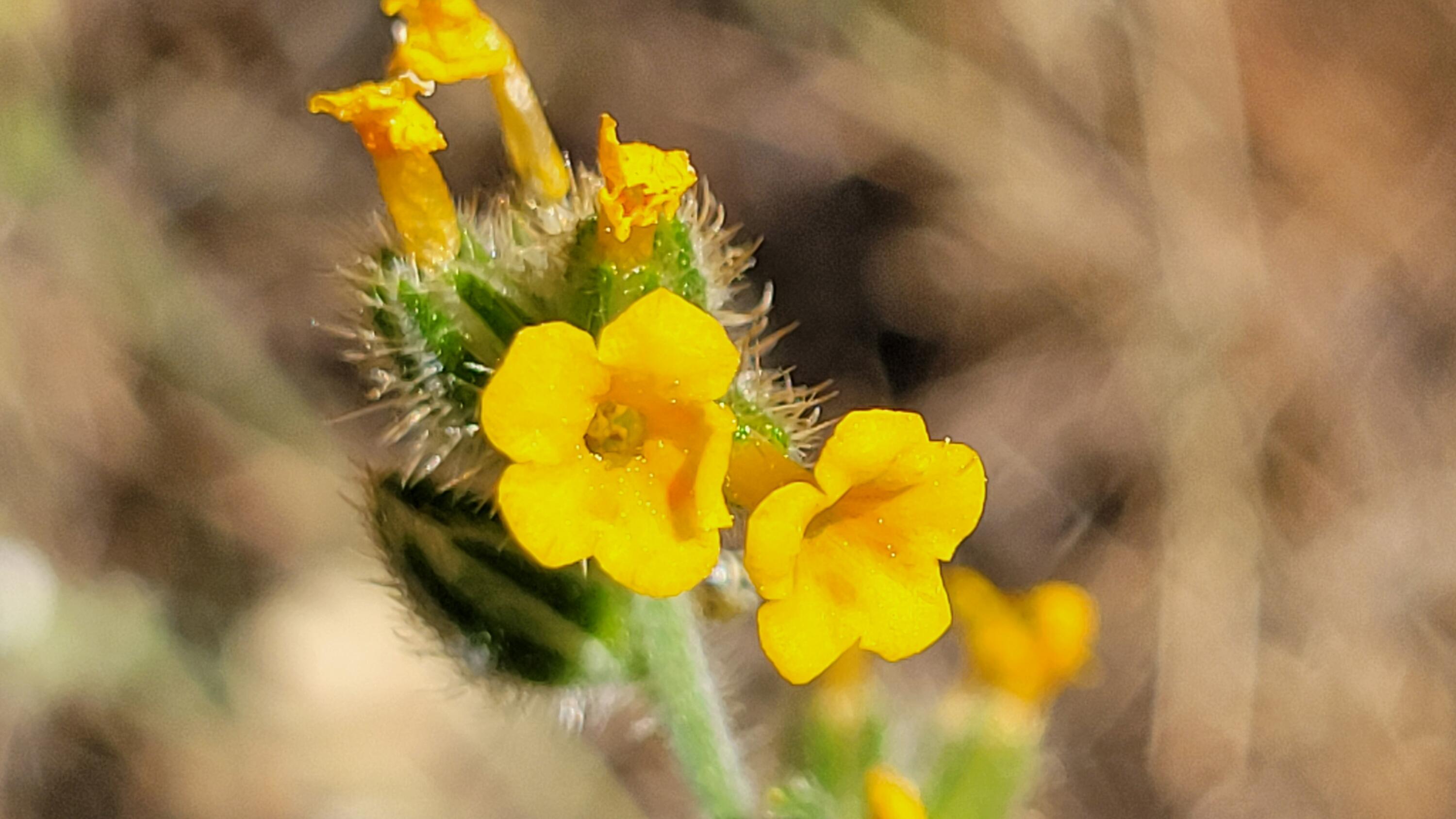 Lot 65 Gogo Road Igo, CA 96047 - Photo 14 of 70 20260324_131355