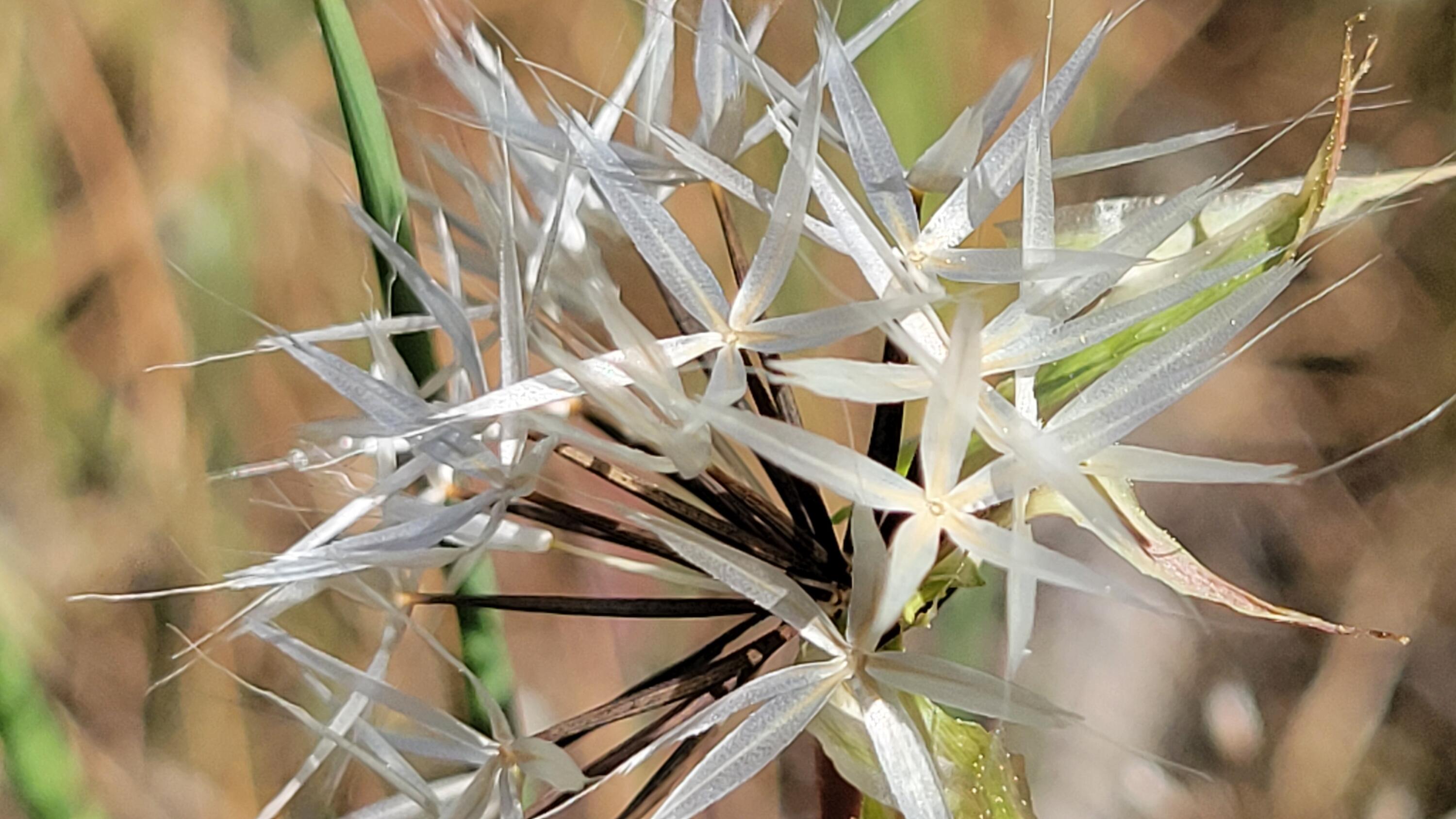 Lot 65 Gogo Road Igo, CA 96047 - Photo 15 of 70 20260324_131359