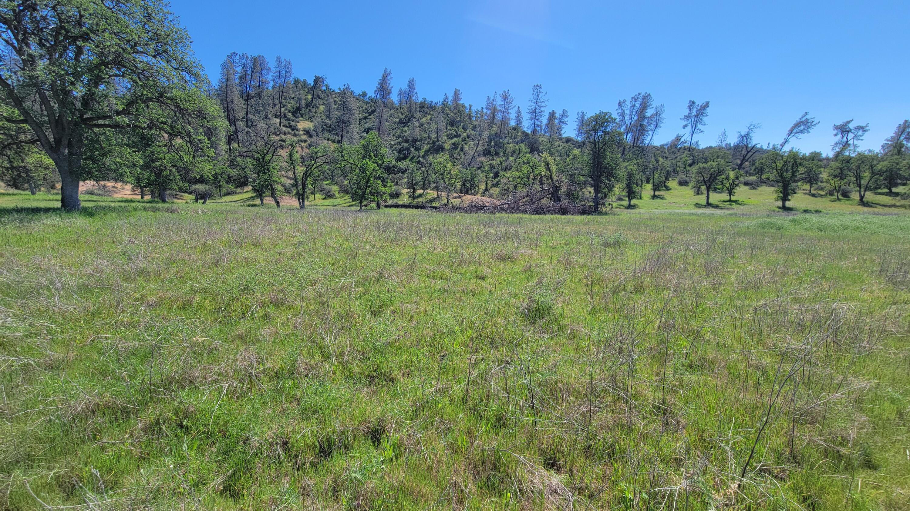 Lot 65 Gogo Road Igo, CA 96047 - Photo 19 of 70 20260324_132331