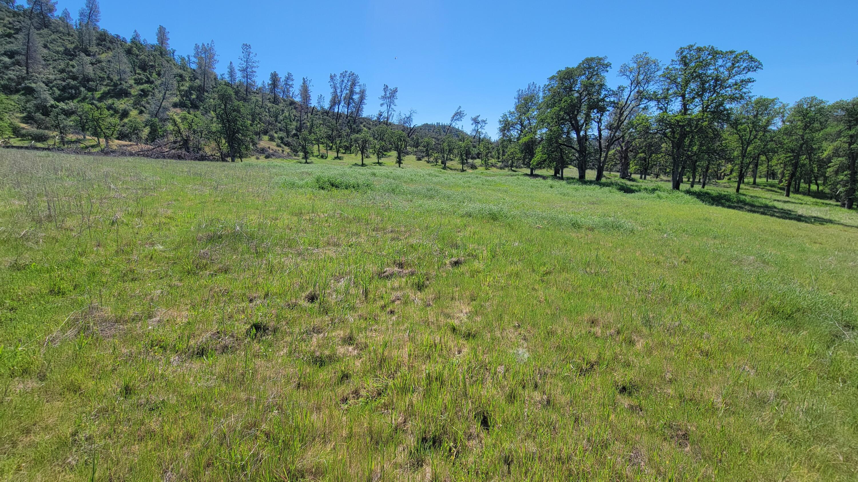 Lot 65 Gogo Road Igo, CA 96047 - Photo 20 of 70 20260324_132444