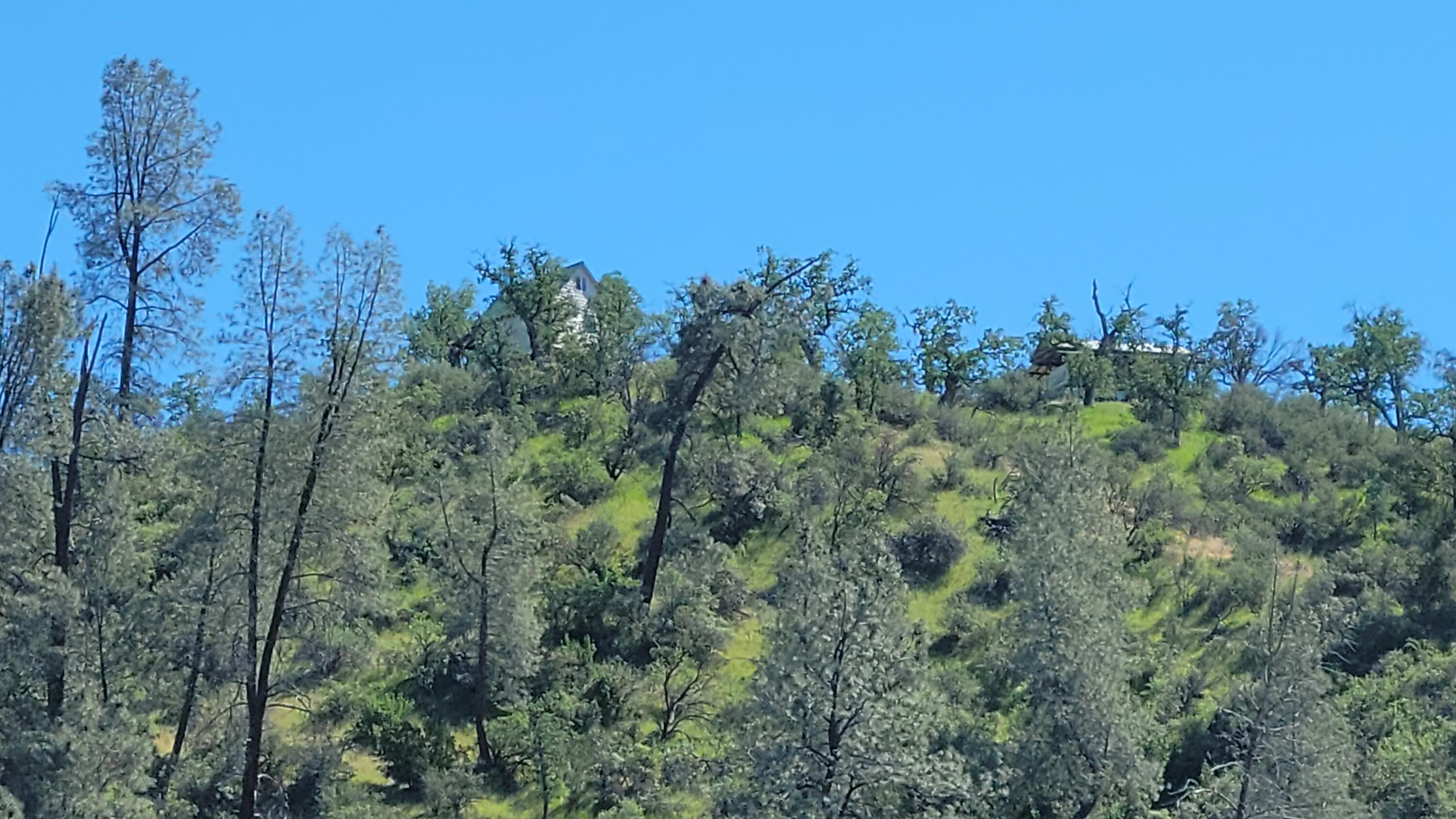 Lot 65 Gogo Road Igo, CA 96047 - Photo 21 of 70 20260324_134601