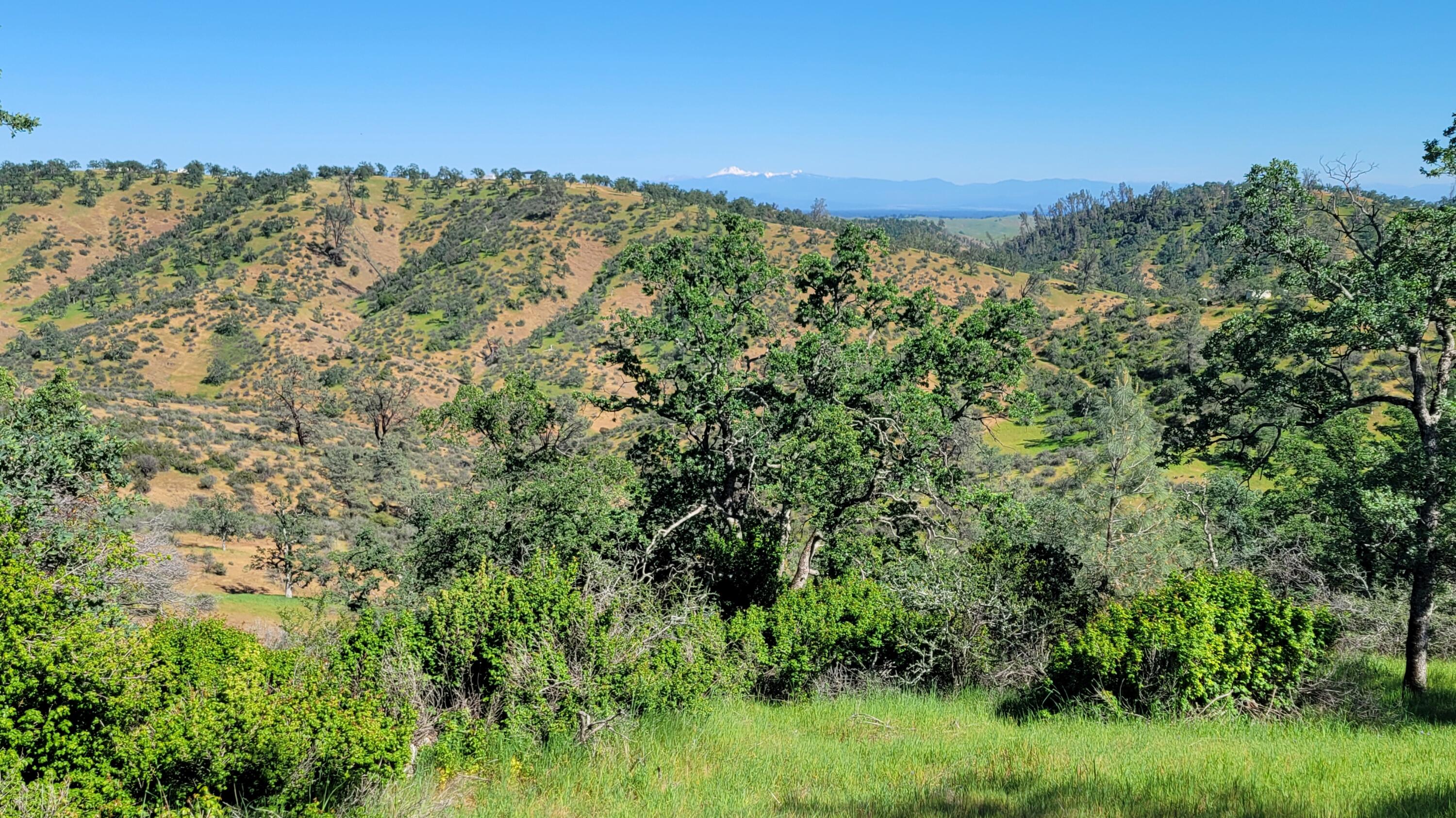 Lot 65 Gogo Road Igo, CA 96047 - Photo 22 of 70 20260324_145451