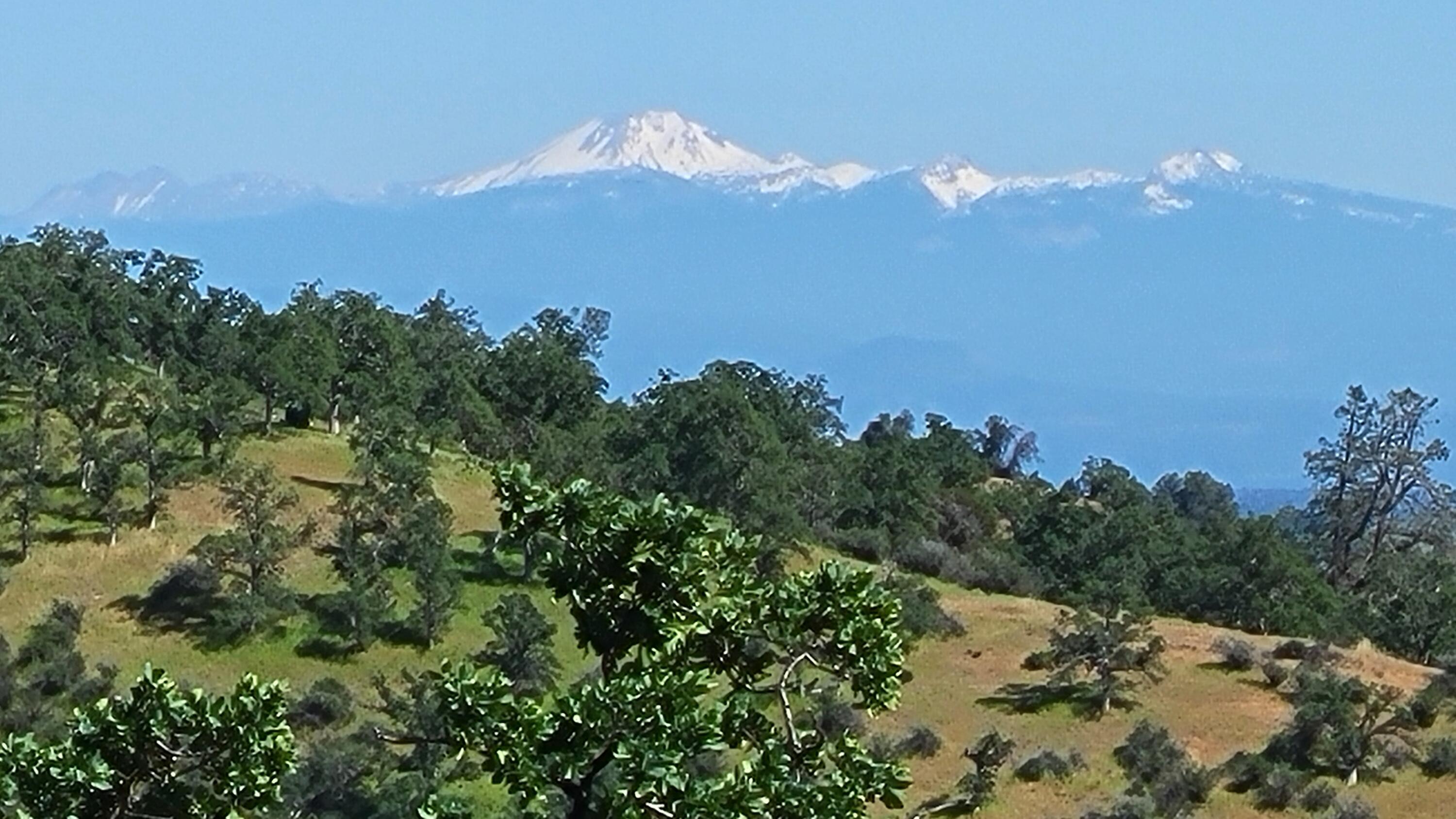 Lot 65 Gogo Road Igo, CA 96047 - Photo 23 of 70 20260324_145607