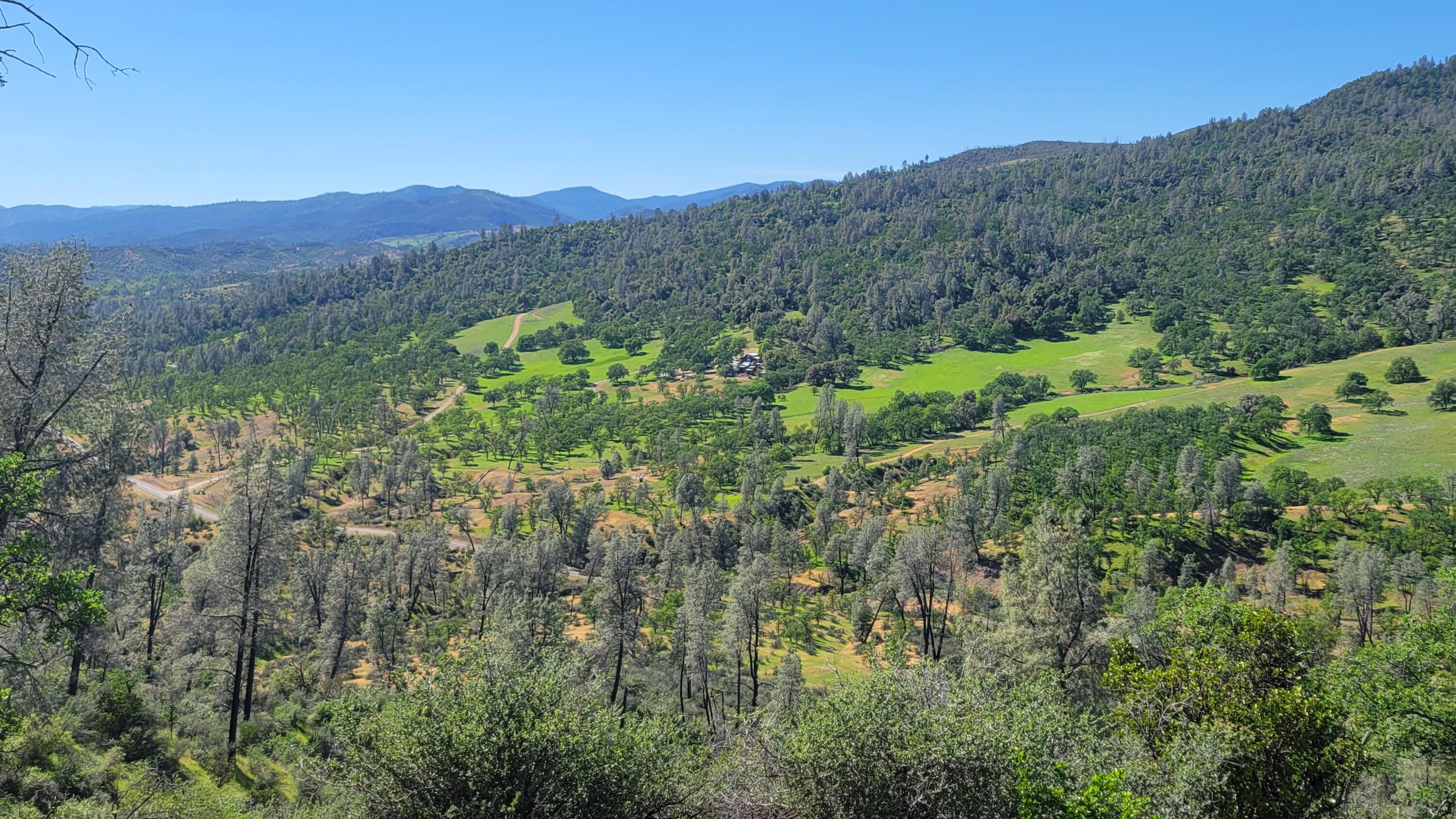 Lot 65 Gogo Road Igo, CA 96047 - Photo 28 of 70 20260324_150003