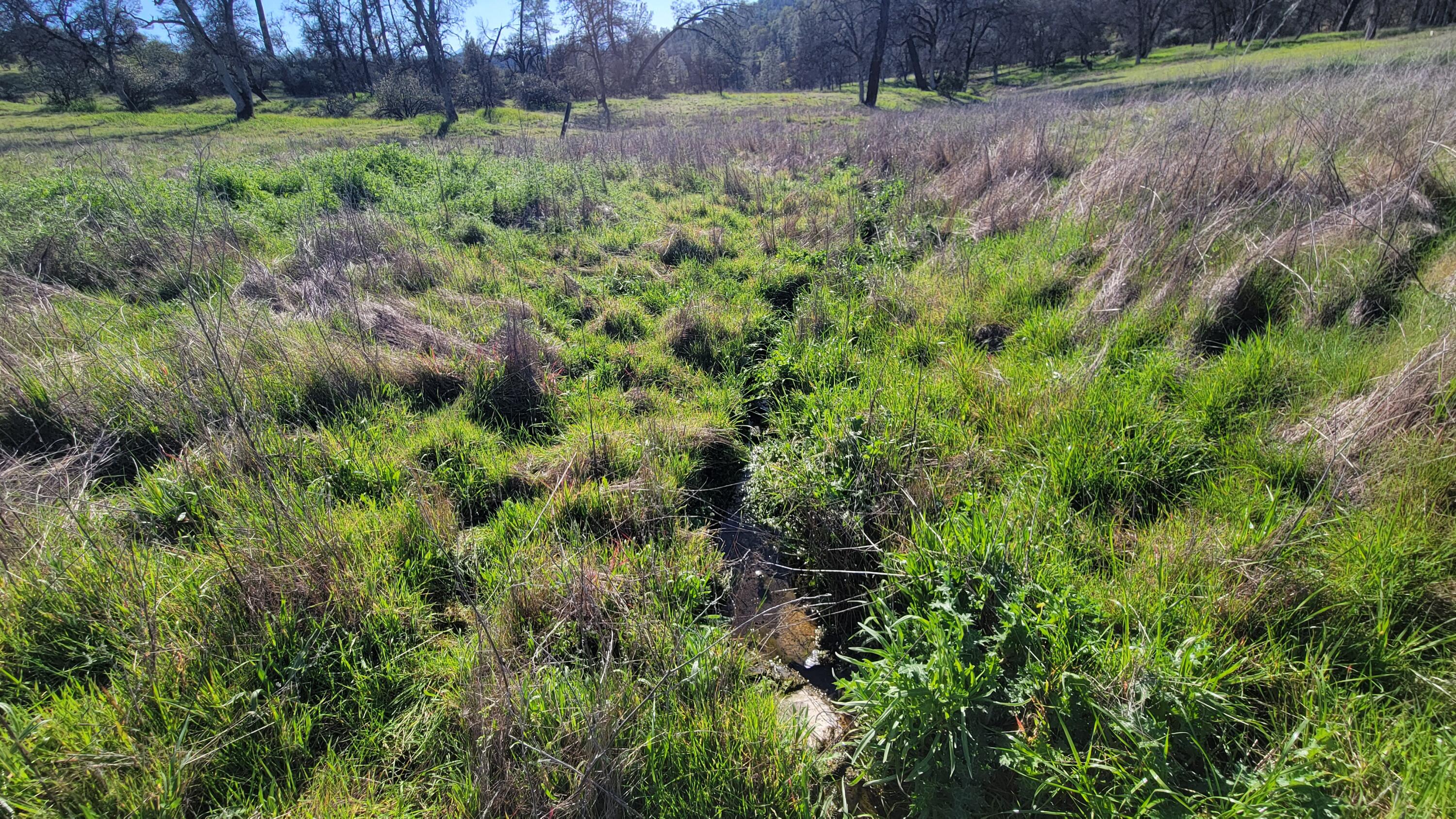 Lot 65 Gogo Road Igo, CA 96047 - Photo 3 of 70 20260309_163003