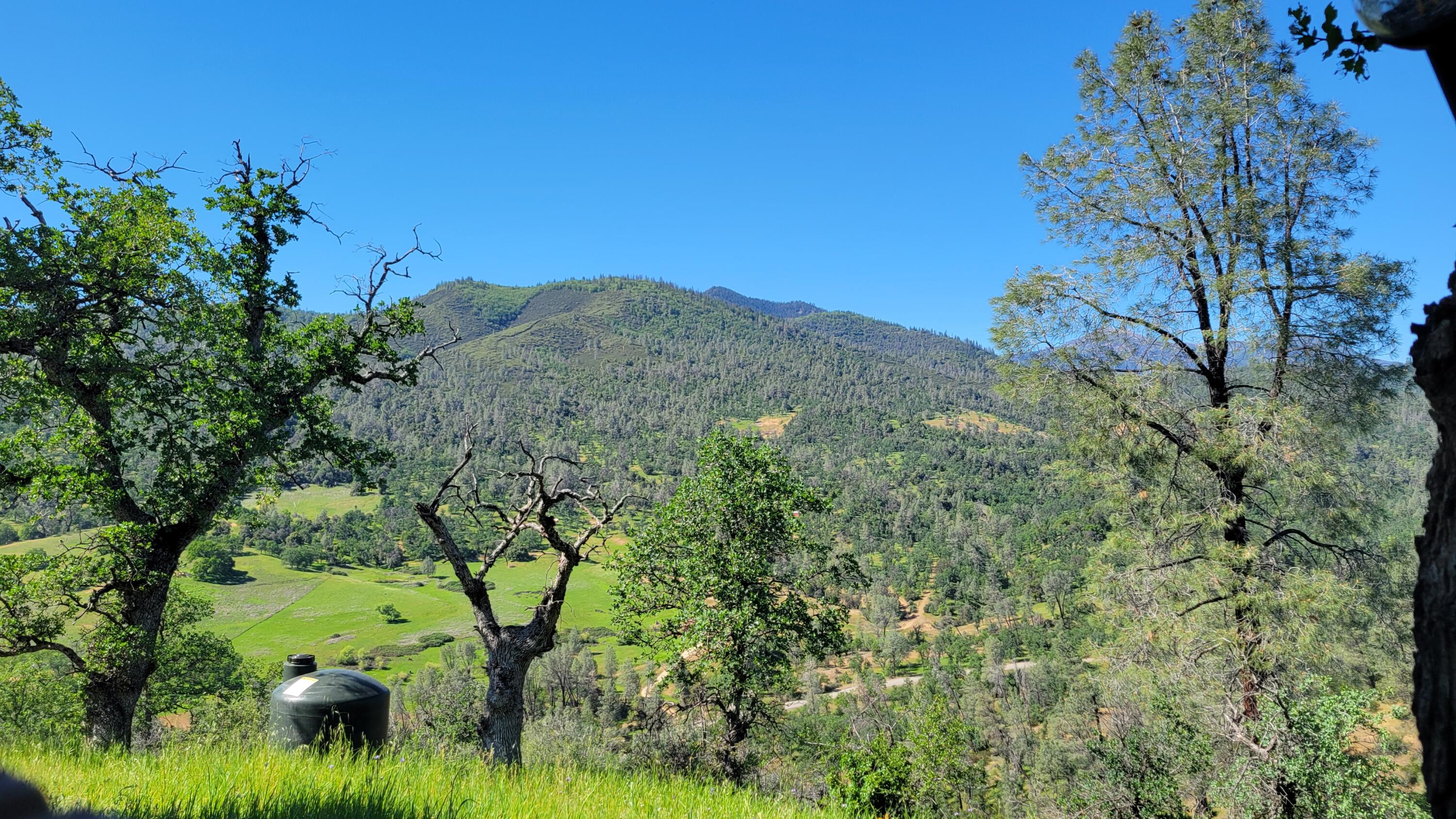 Lot 65 Gogo Road Igo, CA 96047 - Photo 31 of 70 20260324_150504