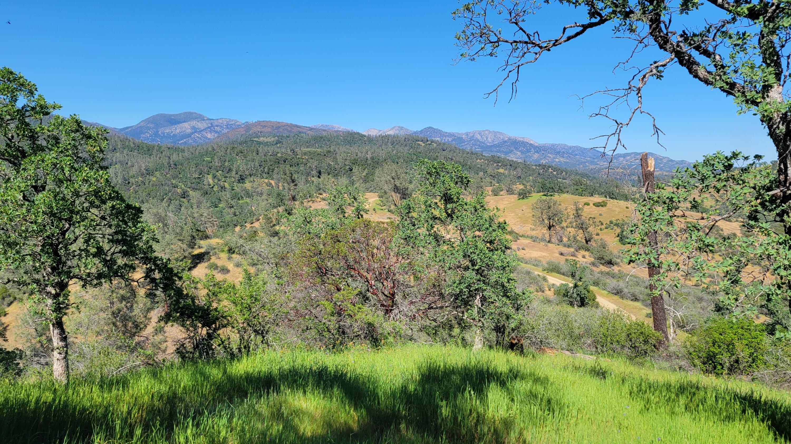 Lot 65 Gogo Road Igo, CA 96047 - Photo 32 of 70 20260324_150542