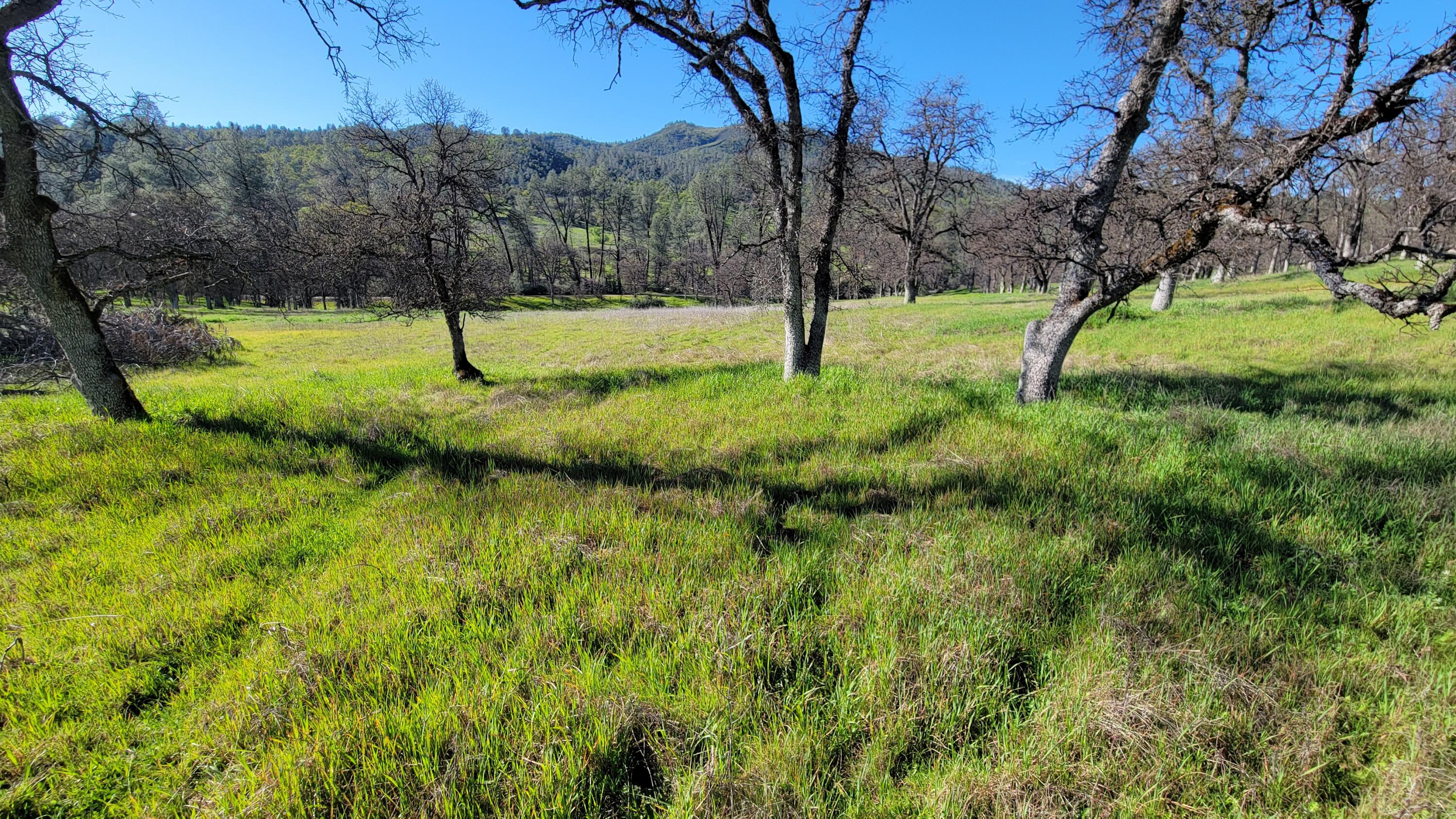 Lot 65 Gogo Road Igo, CA 96047 - Photo 4 of 70 20260309_163345