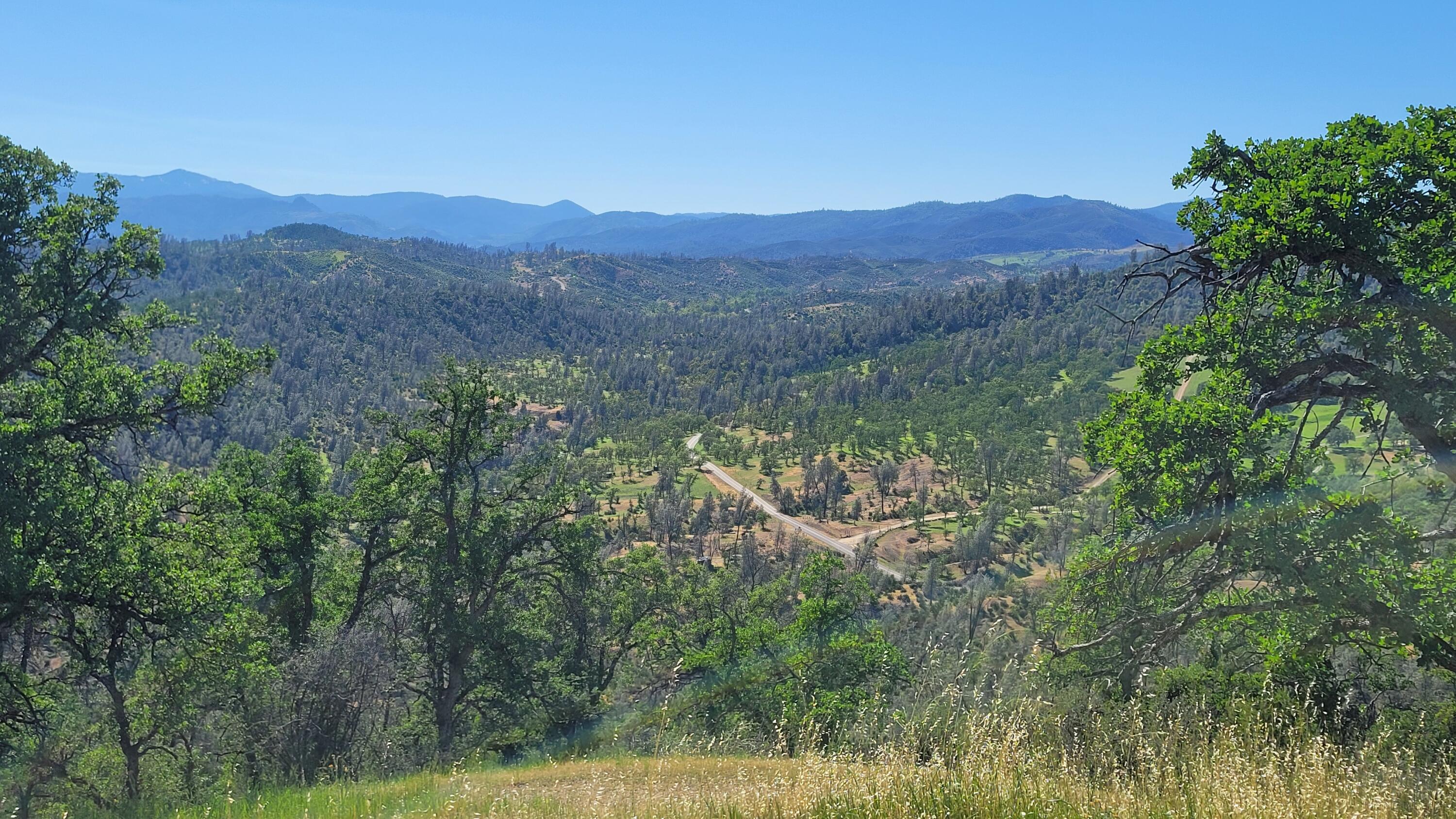 Lot 65 Gogo Road Igo, CA 96047 - Photo 55 of 70 20260324_152216