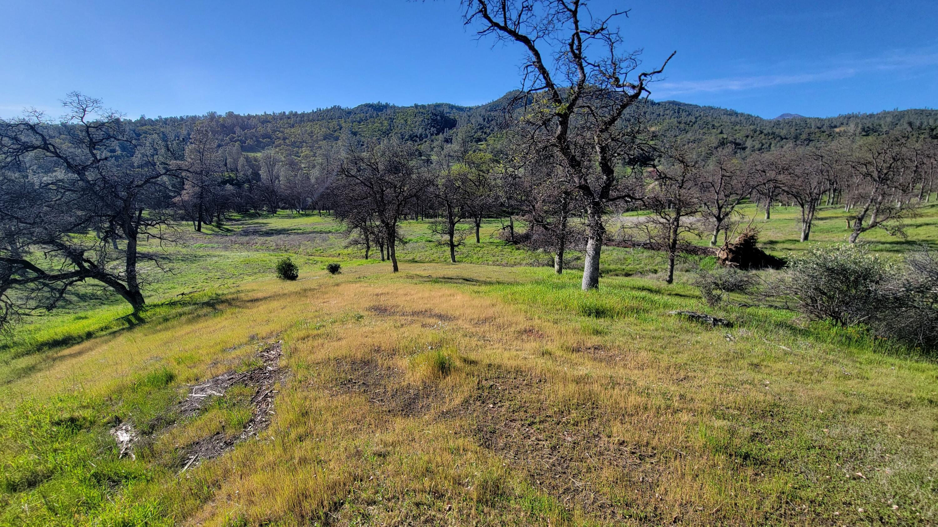 Lot 65 Gogo Road Igo, CA 96047 - Photo 6 of 70 20260309_165242
