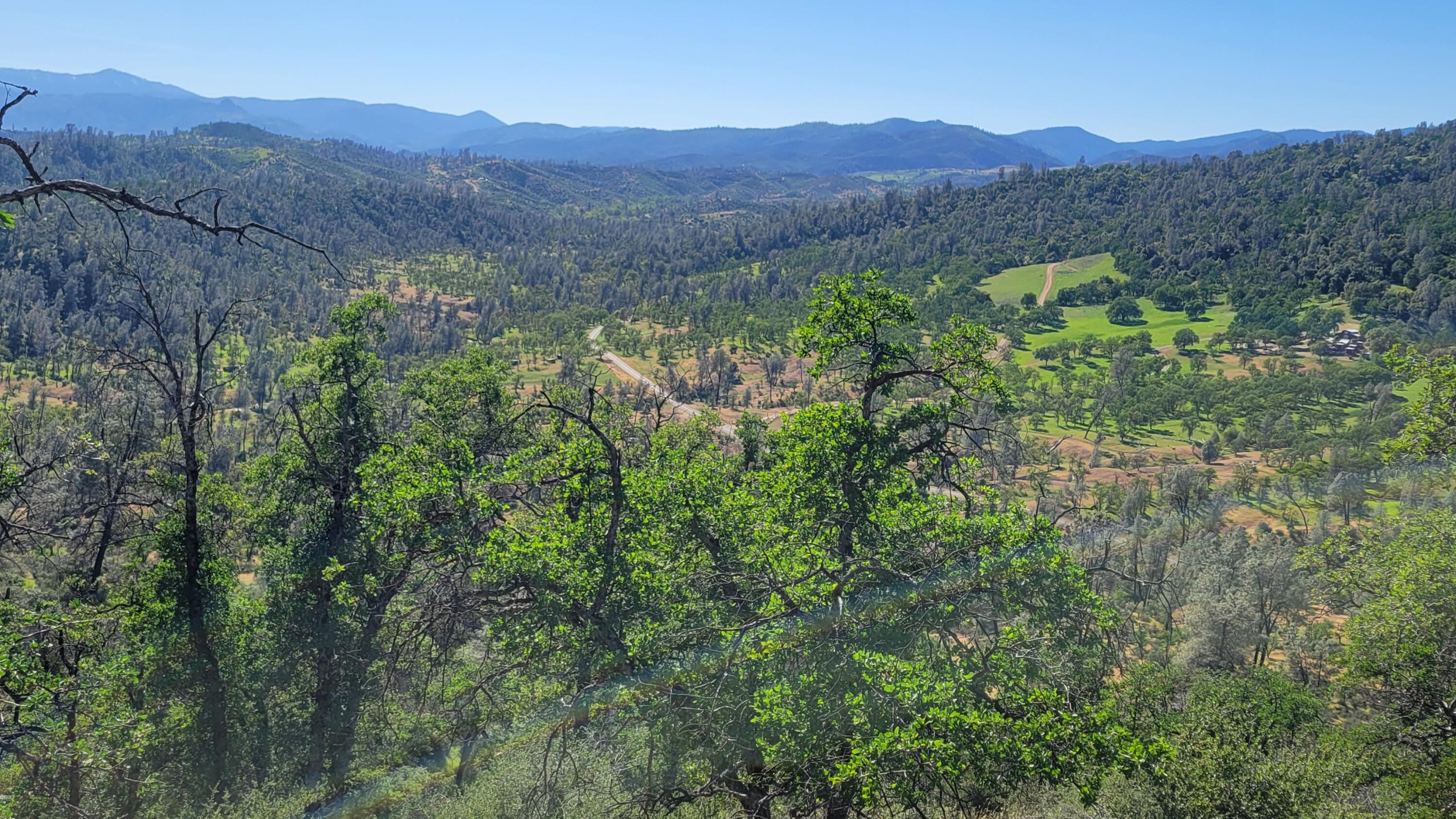 Lot 65 Gogo Road Igo, CA 96047 - Photo 63 of 70 20260324_154100