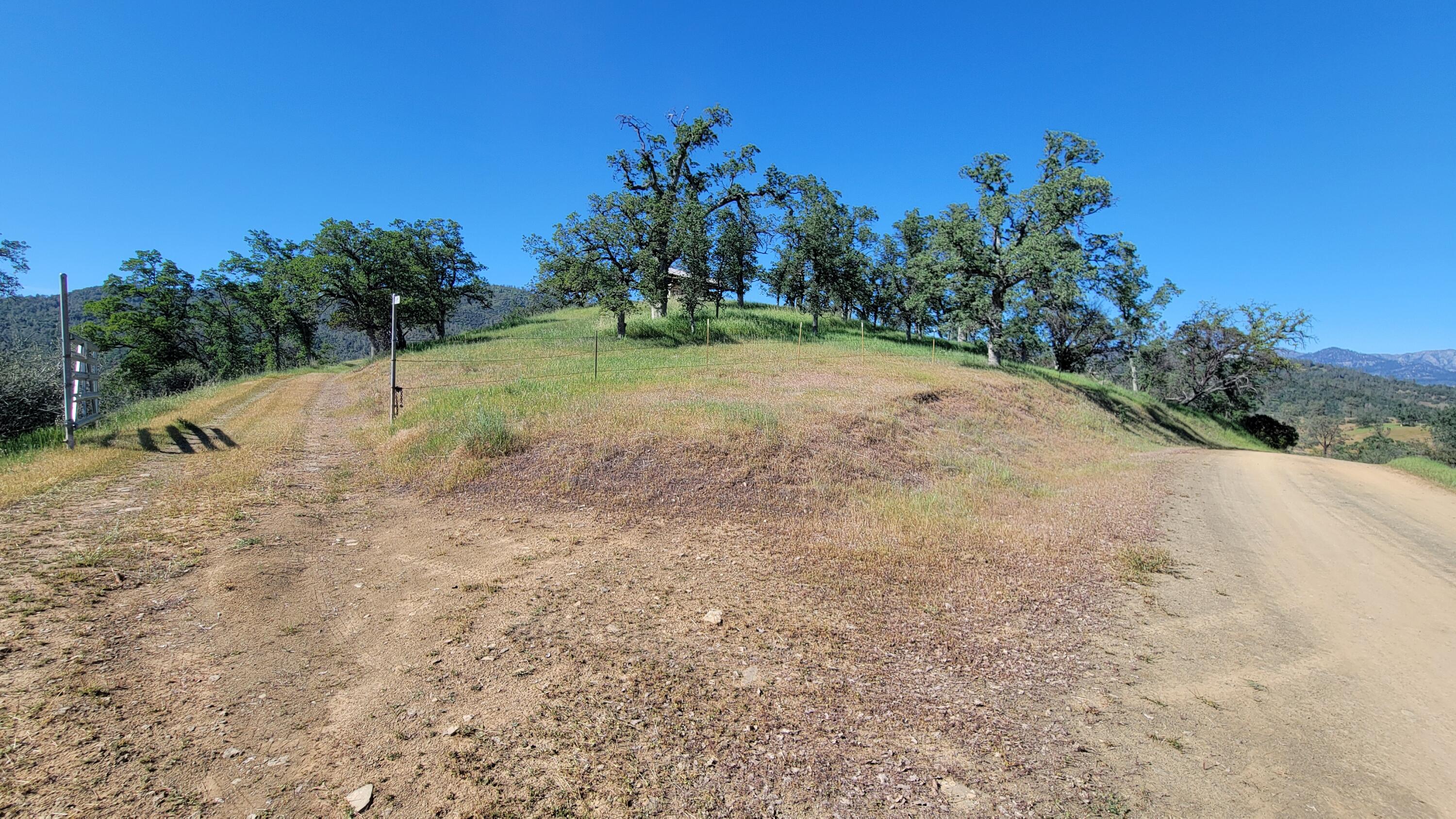Lot 65 Gogo Road Igo, CA 96047 - Photo 64 of 70 20260324_154203