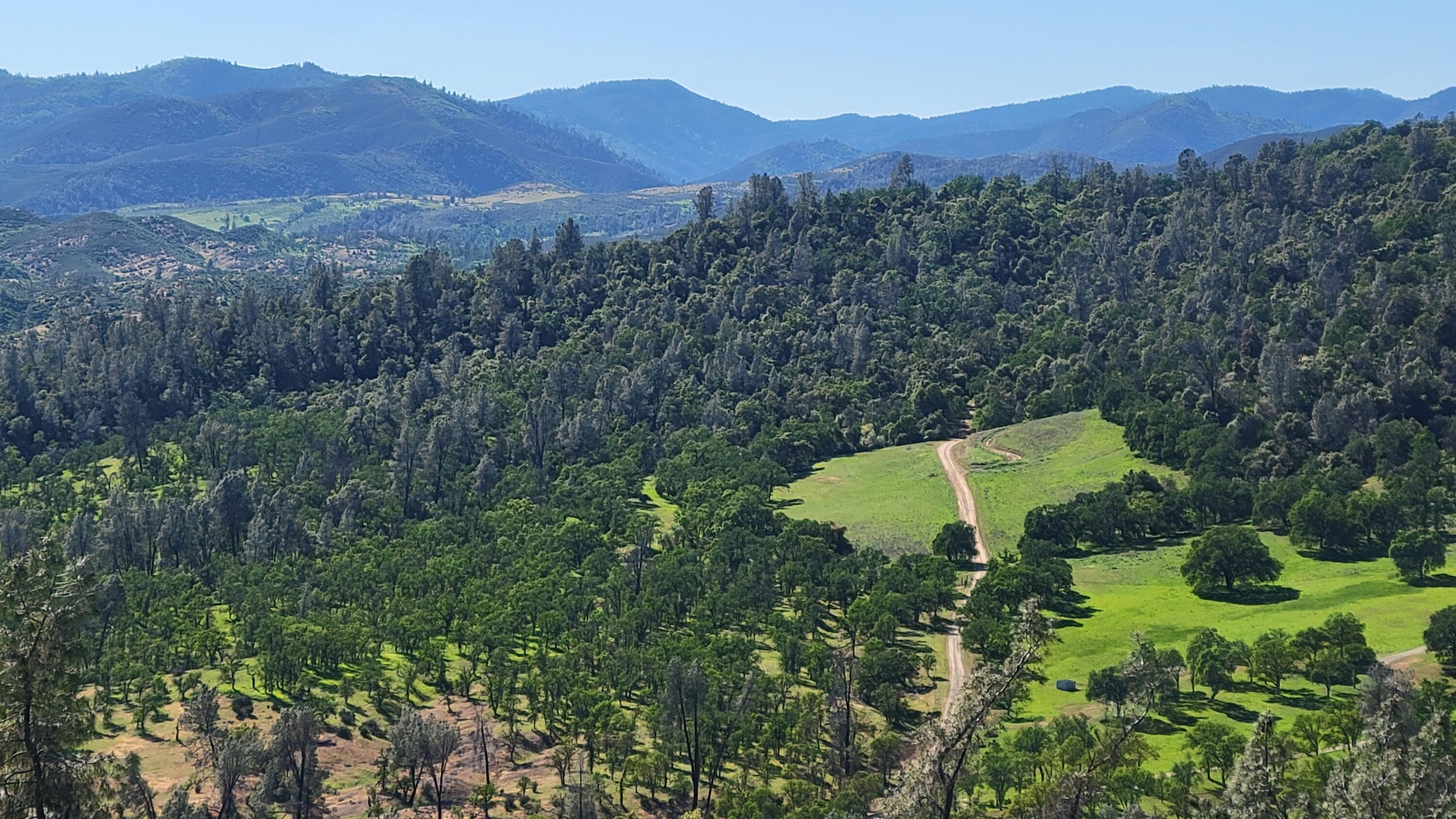 Lot 65 Gogo Road Igo, CA 96047 - Photo 65 of 70 20260324_154336