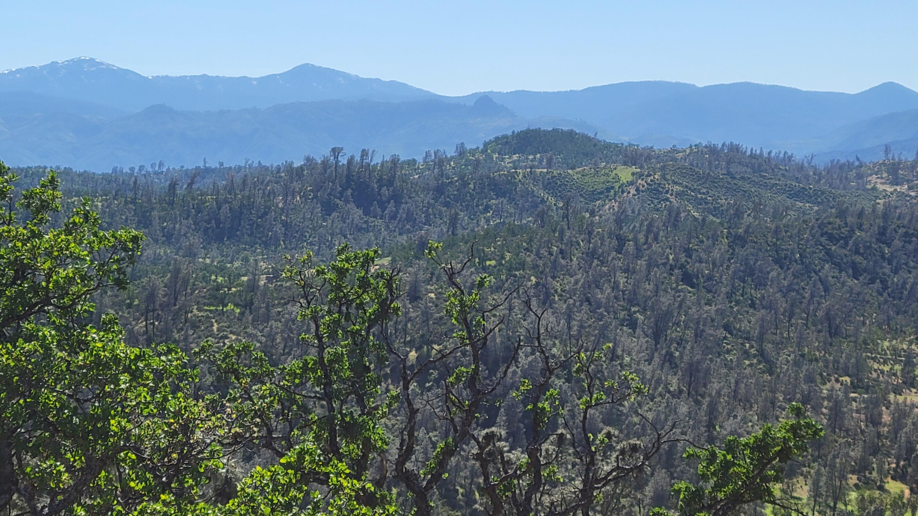 Lot 65 Gogo Road Igo, CA 96047 - Photo 66 of 70 20260324_154347