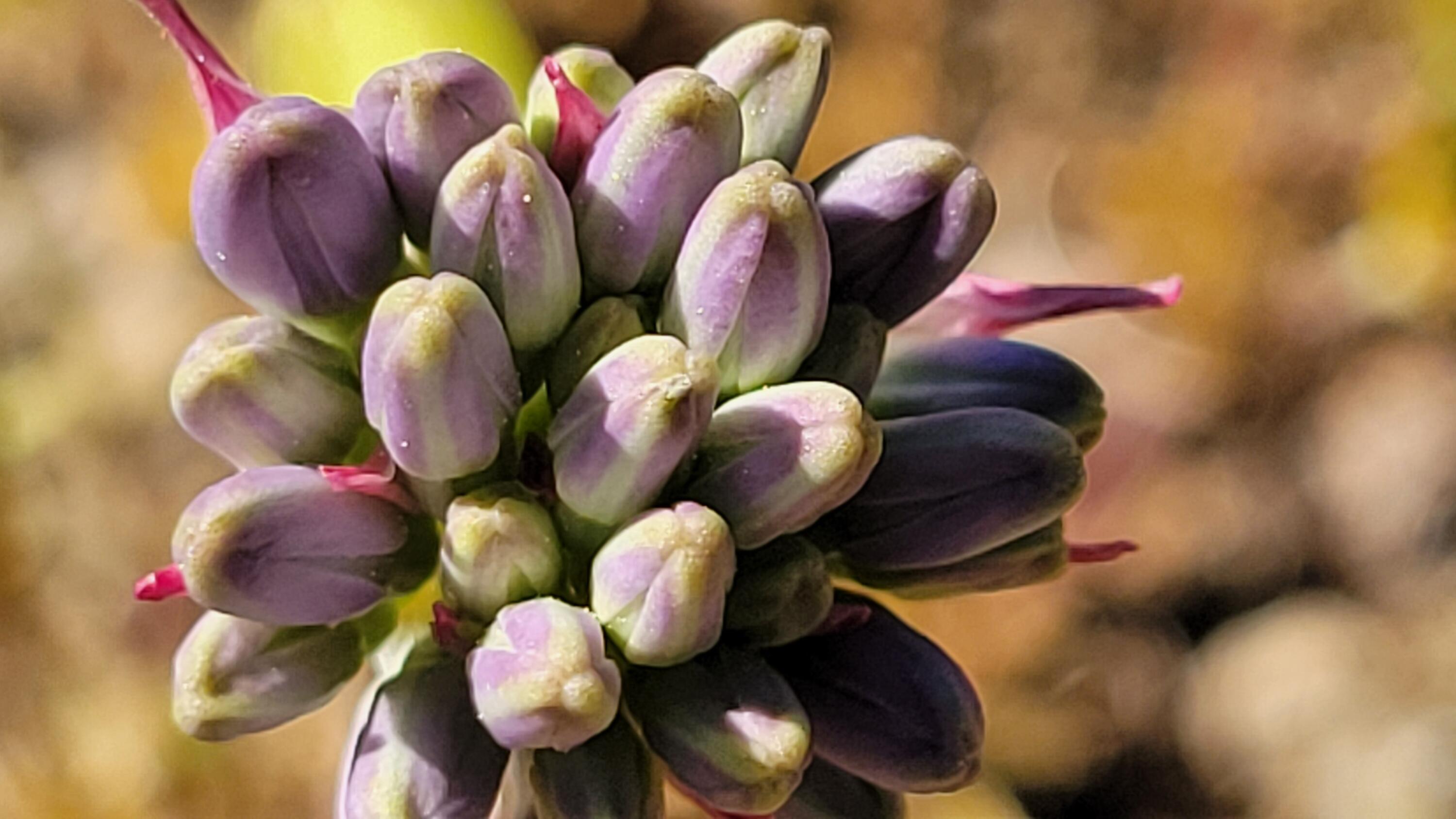 Lot 65 Gogo Road Igo, CA 96047 - Photo 70 of 70 20260324_154658