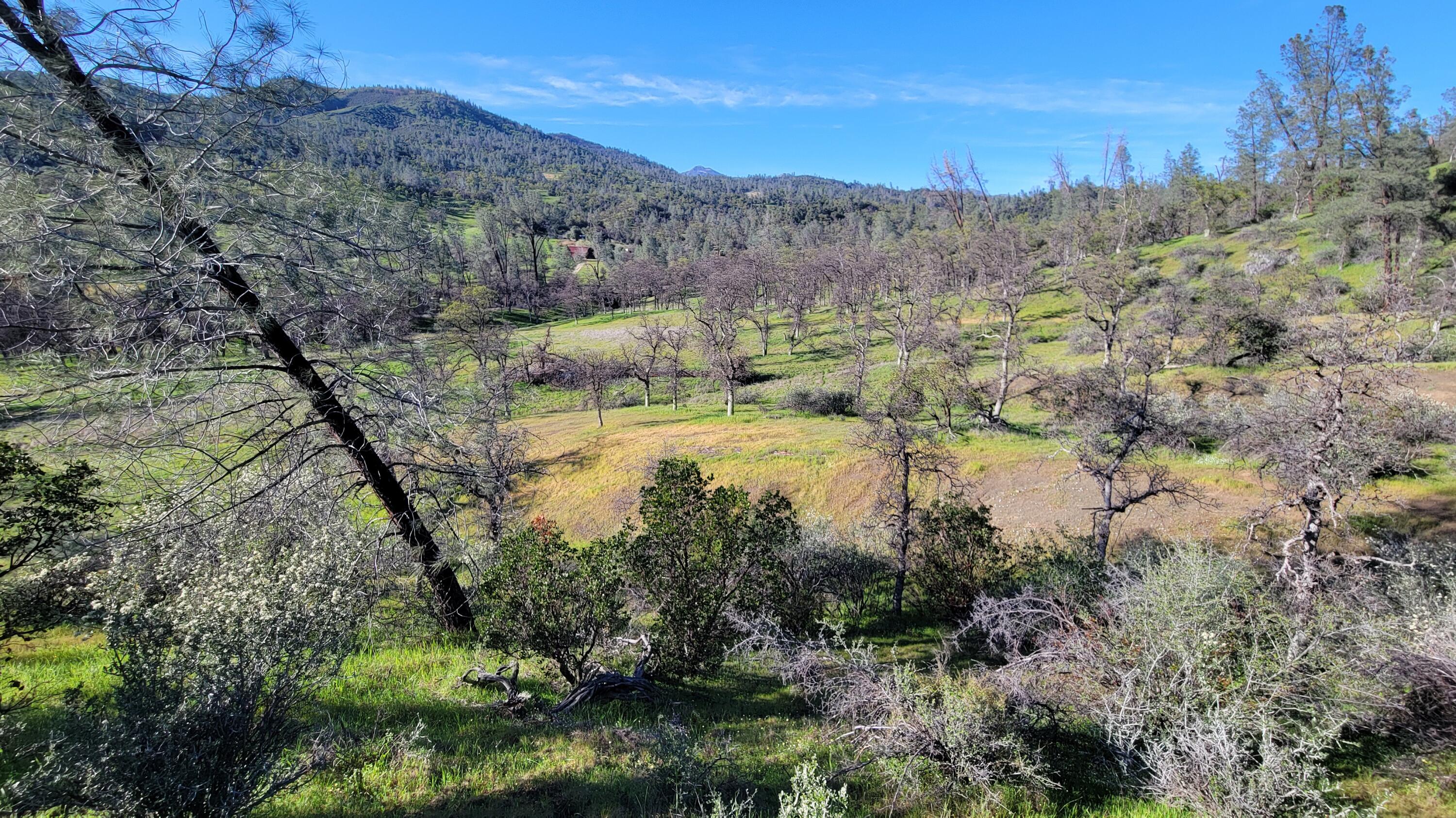 Lot 65 Gogo Road Igo, CA 96047 - Photo 7 of 70 20260309_165826