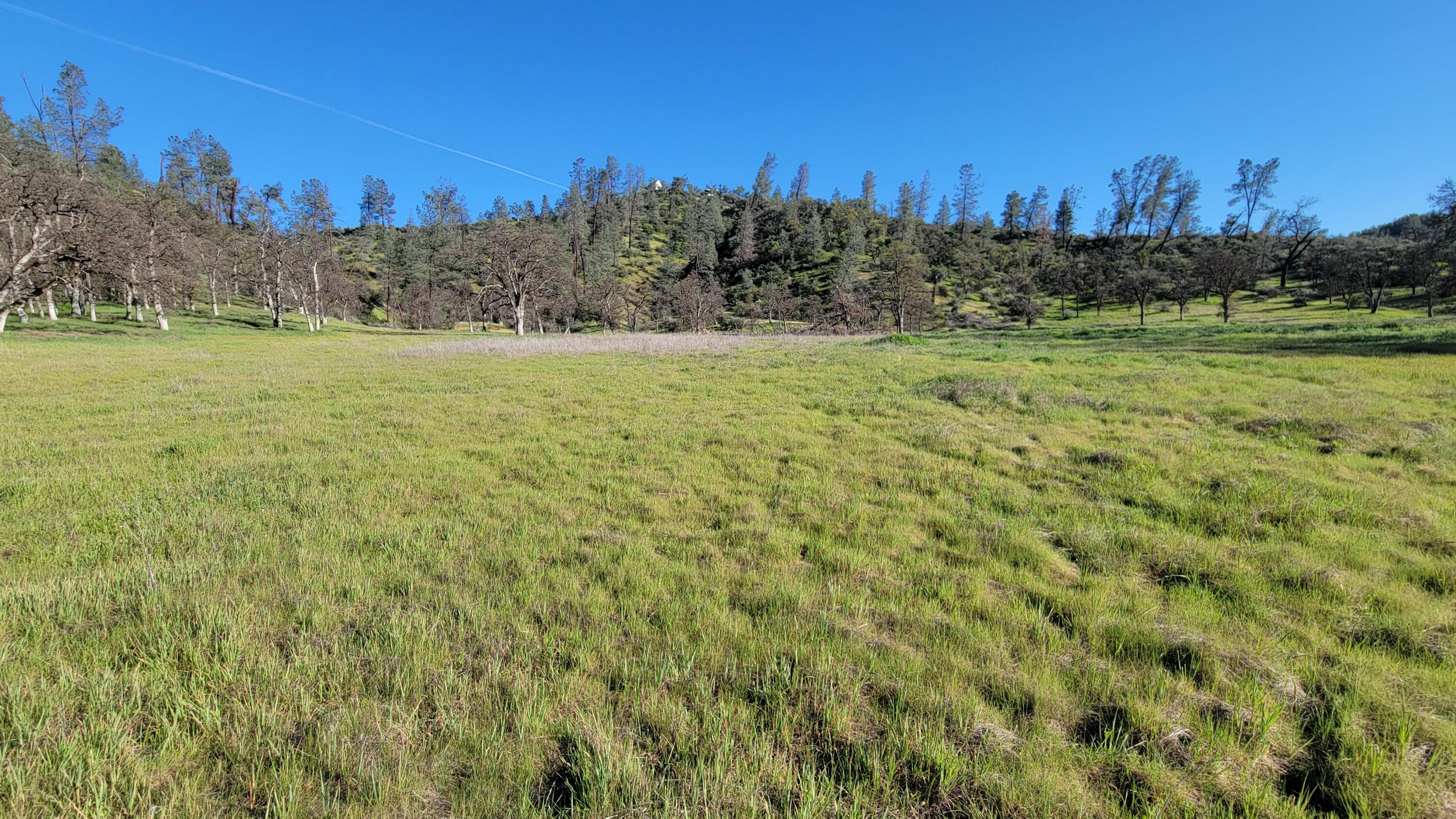 Lot 65 Gogo Road Igo, CA 96047 - Photo 8 of 70 20260309_172318