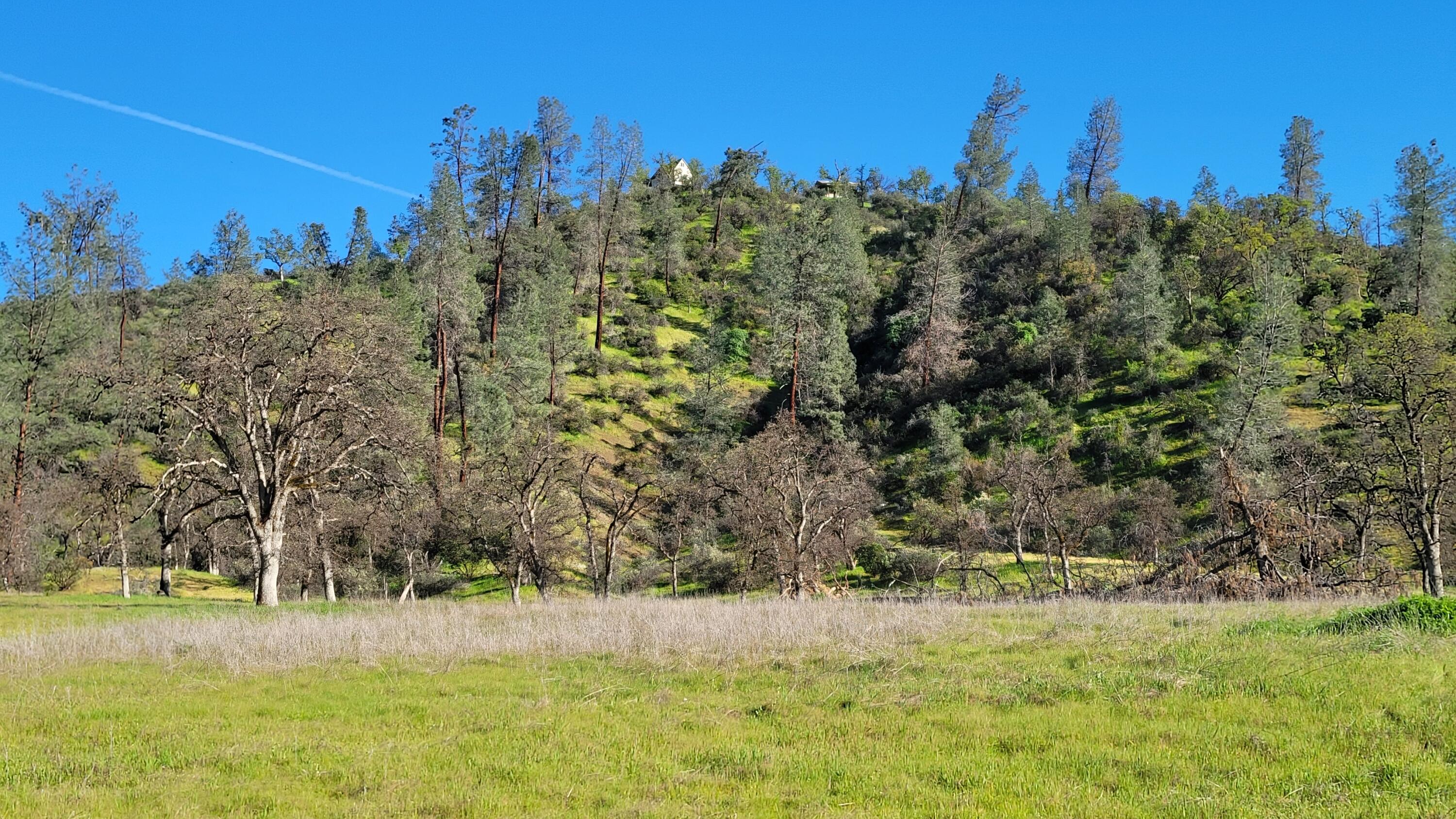 Lot 65 Gogo Road Igo, CA 96047 - Photo 9 of 70 20260309_172335