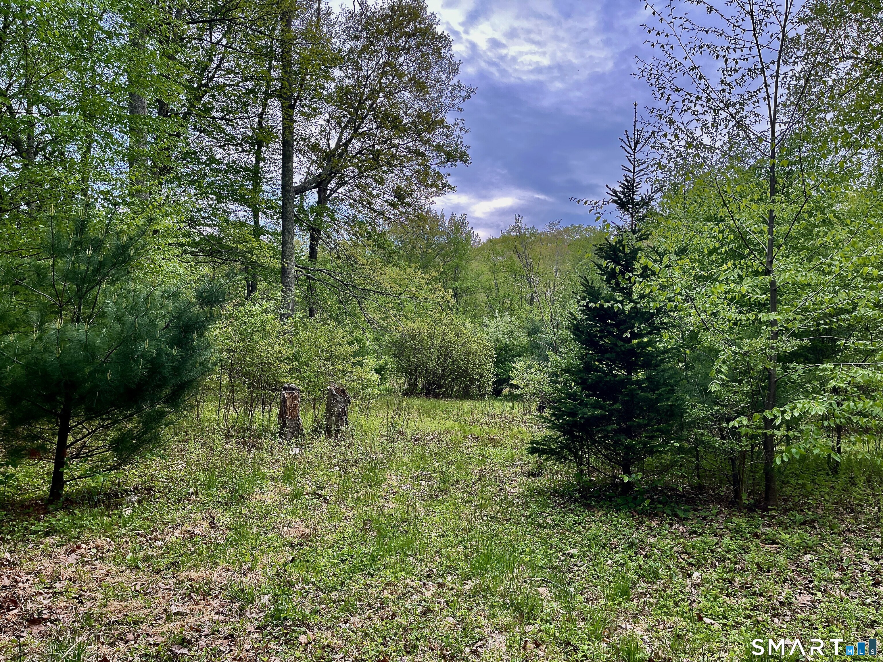 Meadow Brook Road Amston, CT 06231 - Photo 1 of 14 a big yard with lots of green space and plants