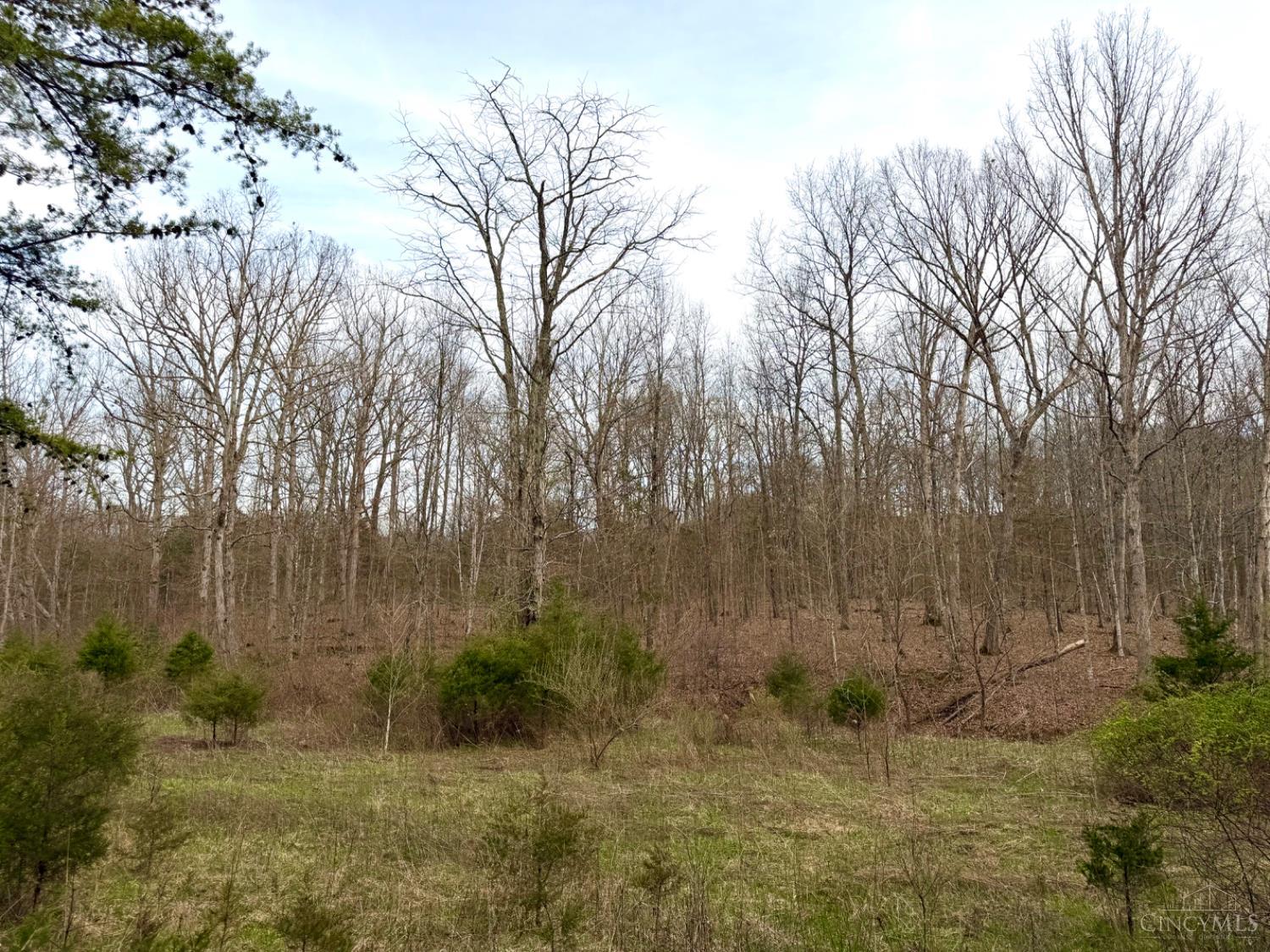 1600 Magee Jones Road Peebles, OH 45660 - Photo 21 of 91