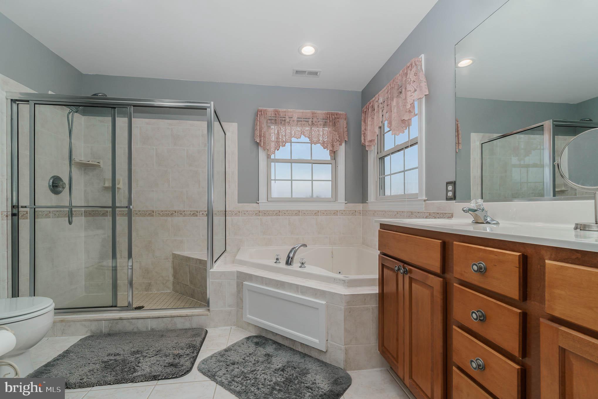 2375 Carrollton Road Westminster, MD 21157 - Photo 19 of 37 a spacious bathroom with a sink a toilet and shower