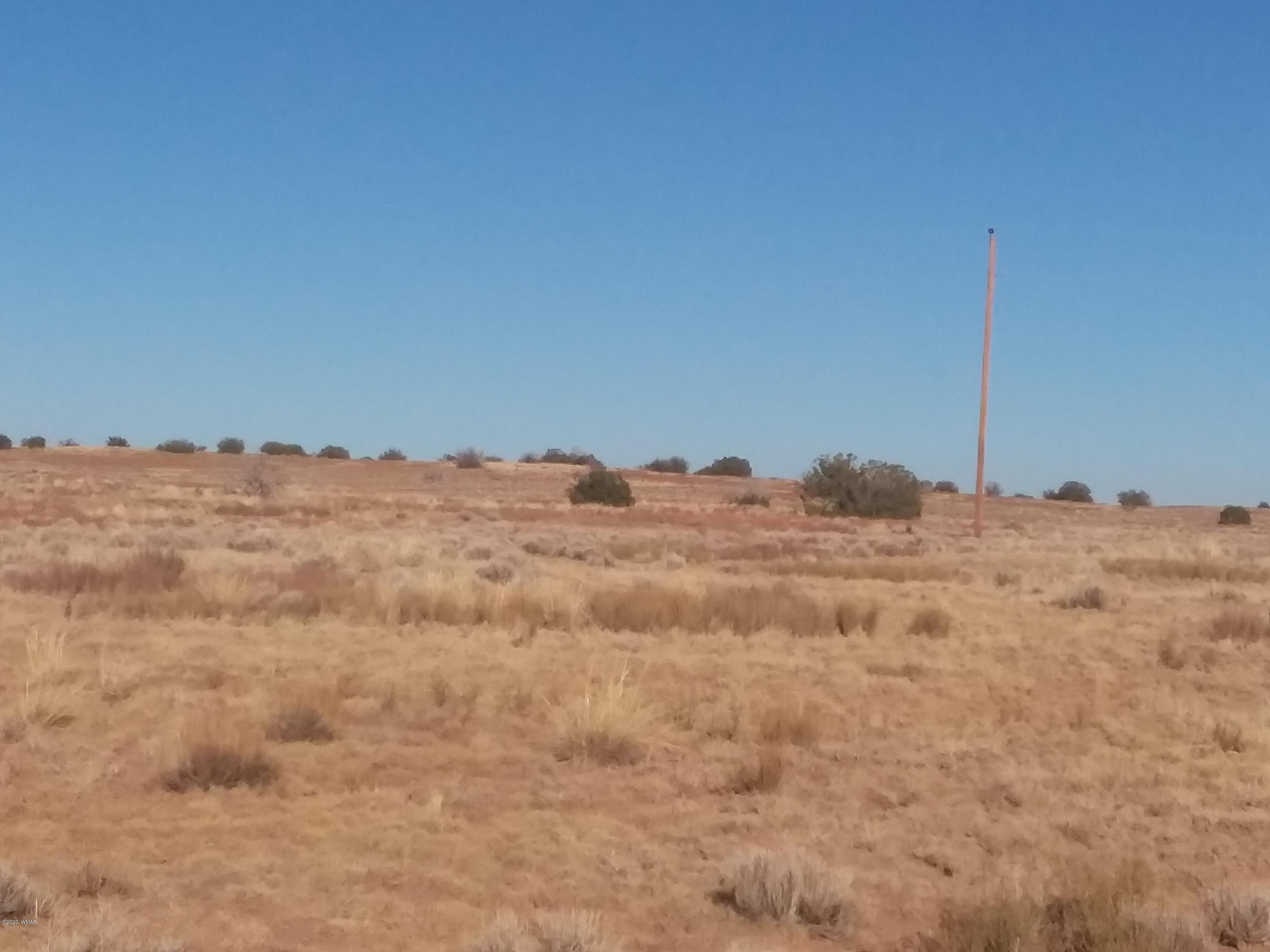 4-lots 4-lots Sun Meadows Ranch Sanders, AZ 86512 - Photo 1 of 5