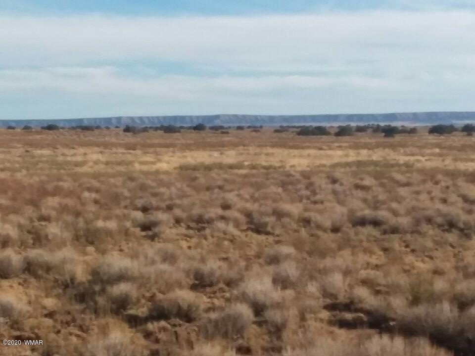 4-lots 4-lots Sun Meadows Ranch Sanders, AZ 86512 - Photo 3 of 5
